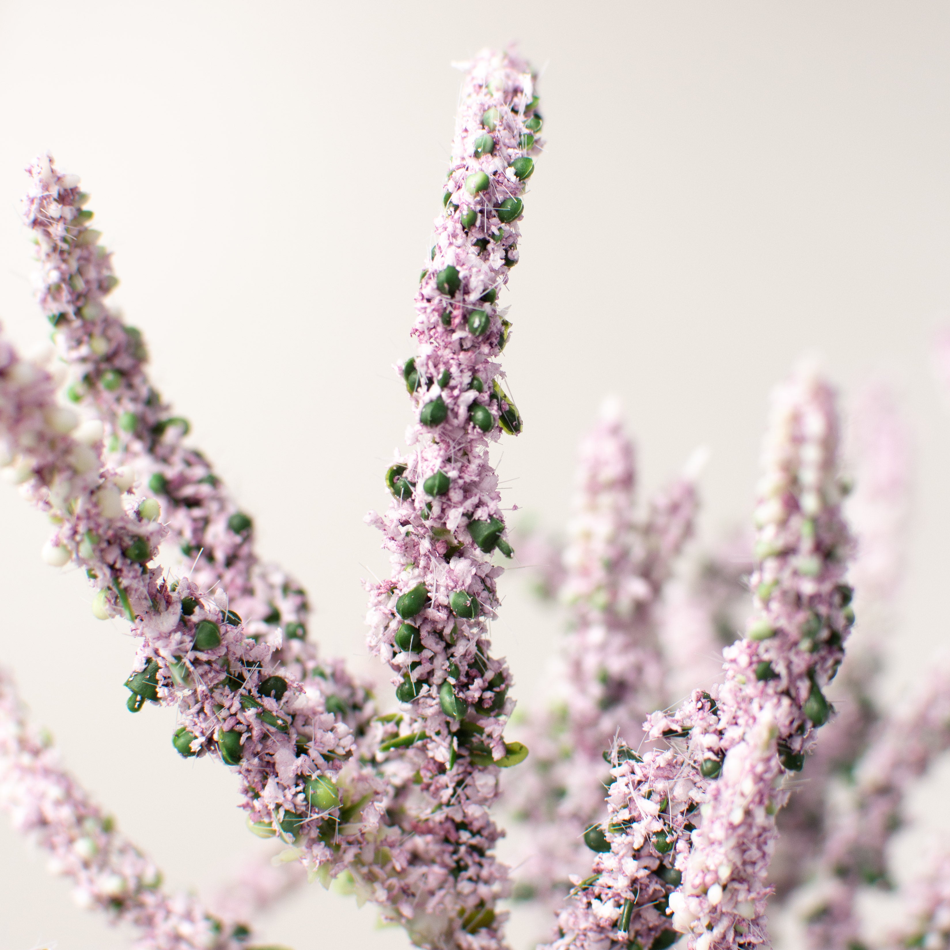 15" Lavender Bundle: Purple Lifestyle Photo