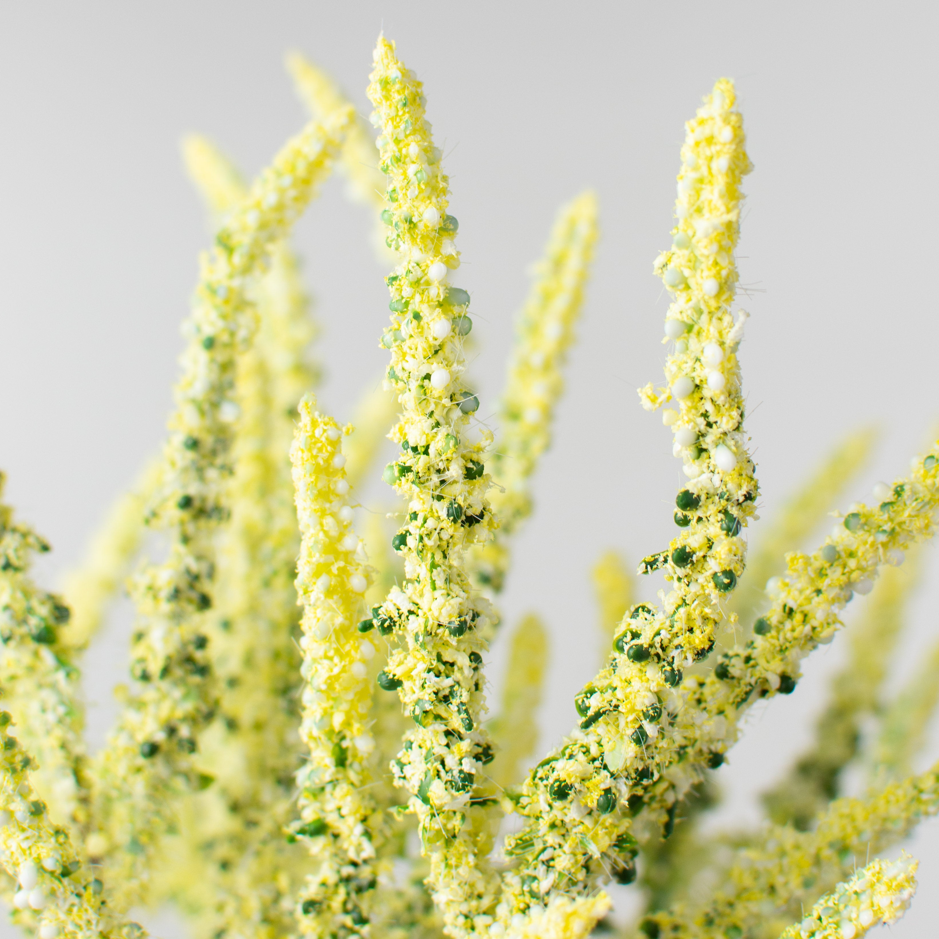 15" Lavender Bundle: Yellow Lifestyle Photo