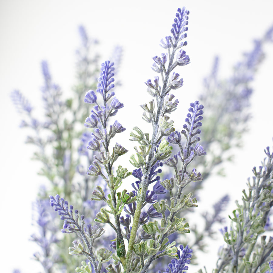 23" Lavender Bush Lifestyle Photo