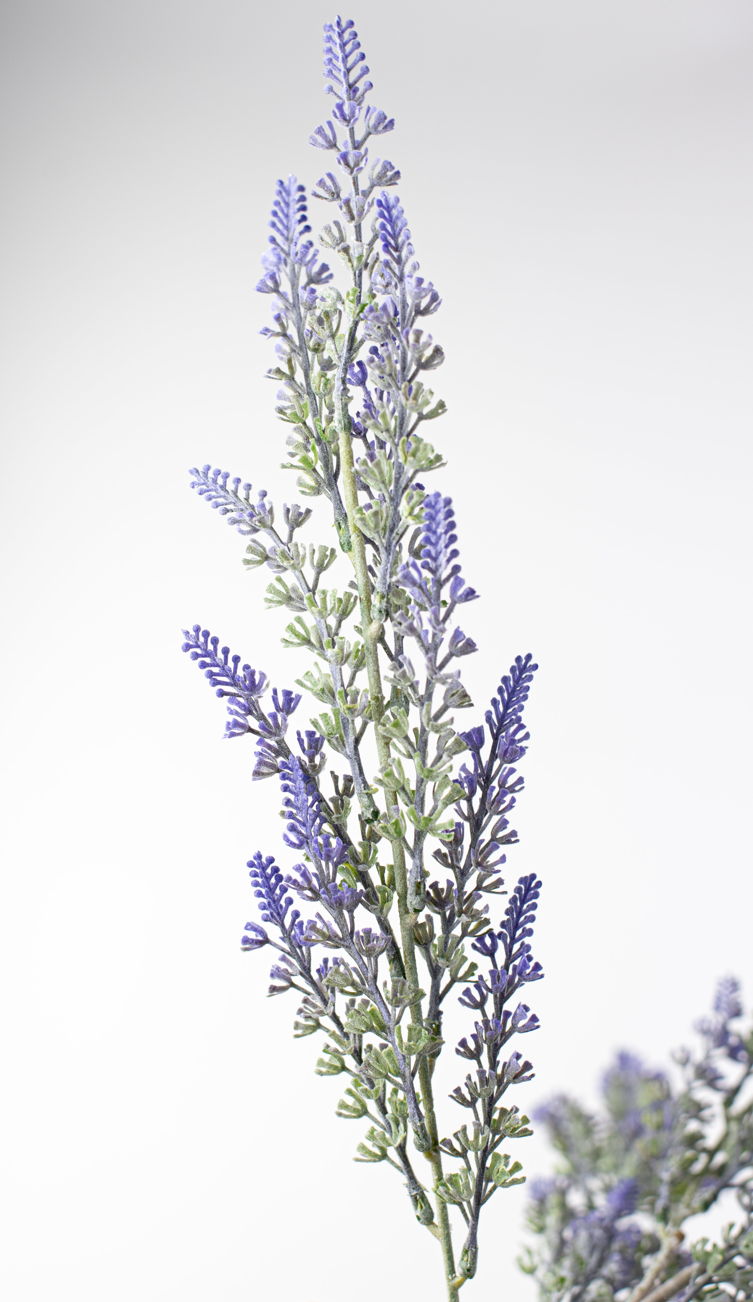 23" Lavender Bush detail photo 4