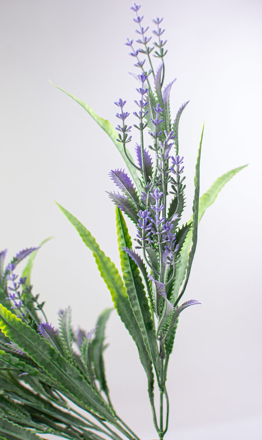 23" Lavender Bush detail photo 5