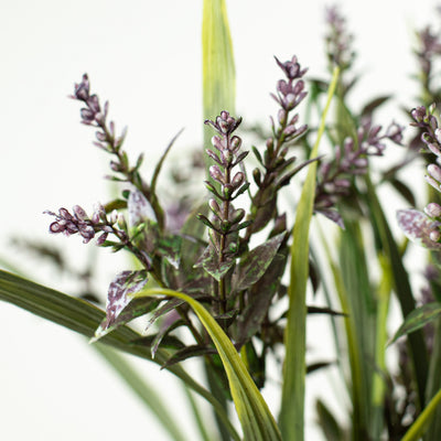 15" Lavender Bush: Purple Lifestyle Photo