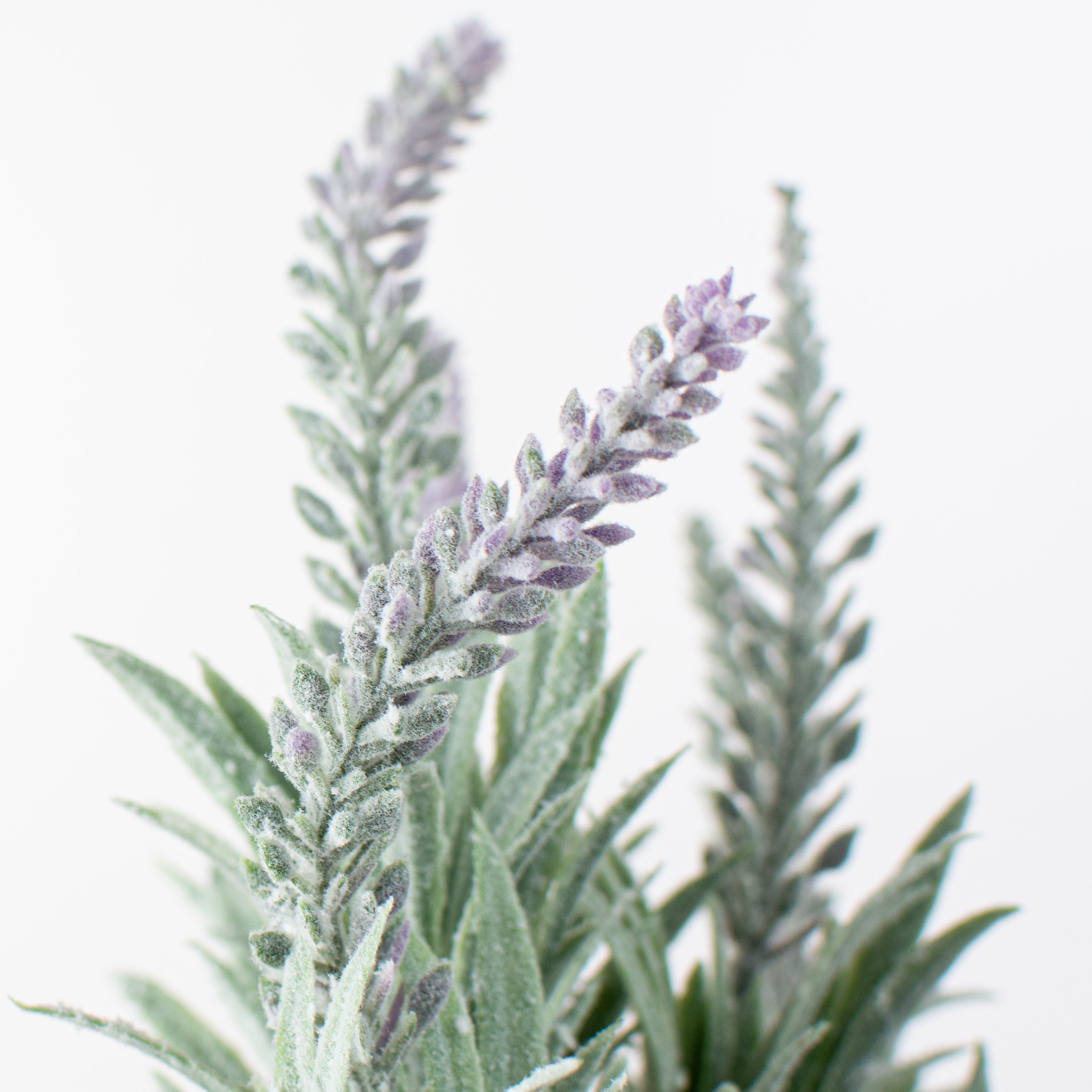 14" Lavender Bush (7 Stems) Lifestyle Photo
