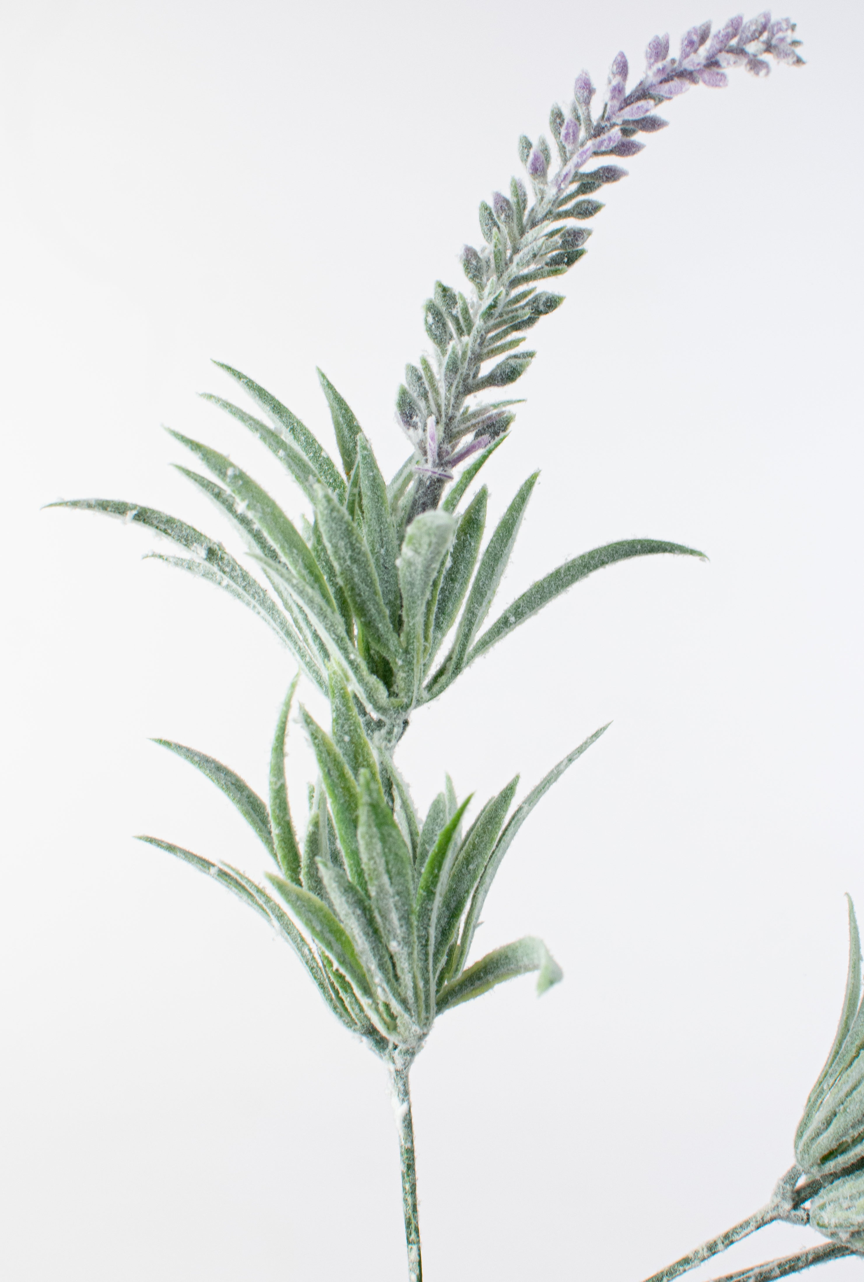 14" Lavender Bush (7 Stems) detail photo 4