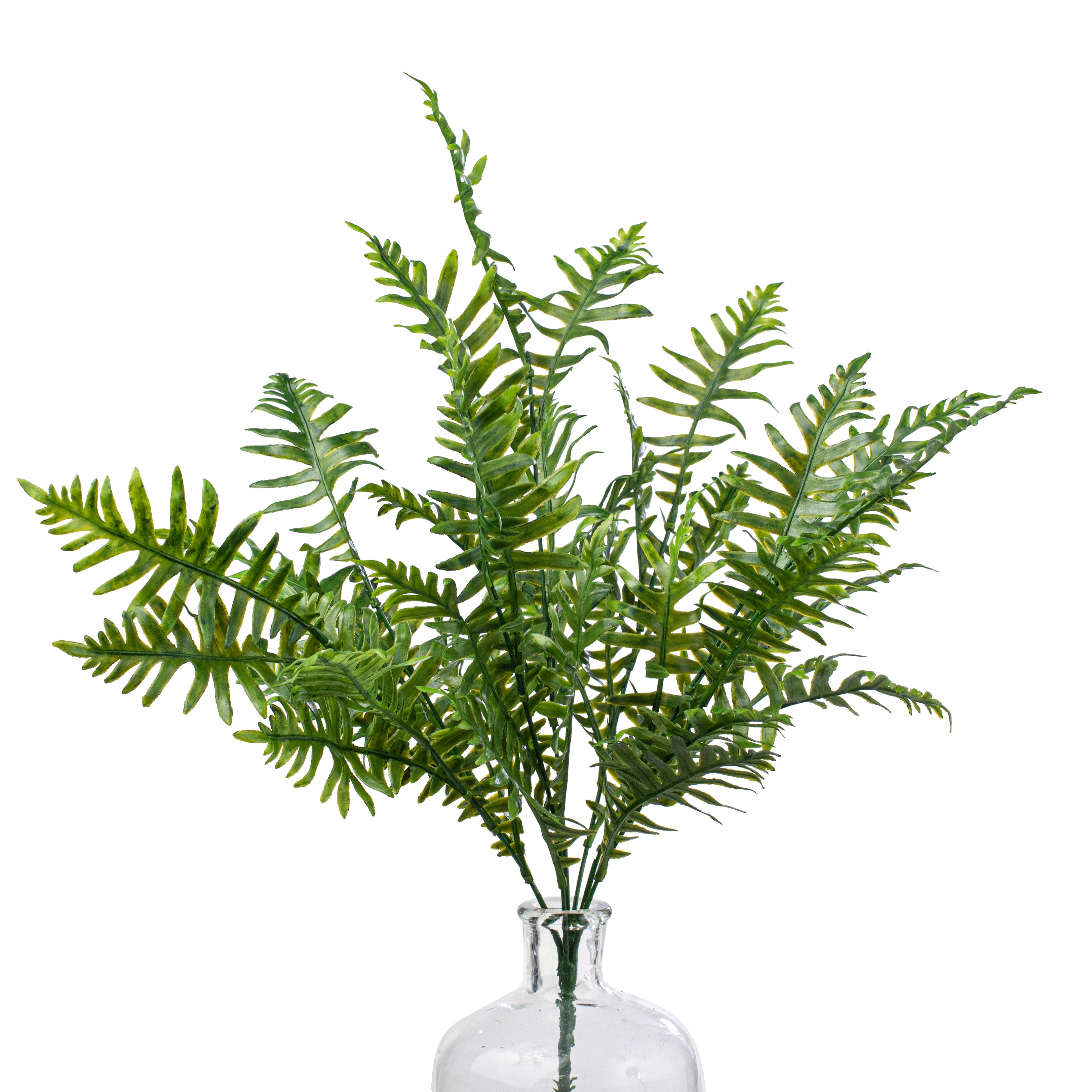 22" Leather Fern Bush Item Number: 13594GN