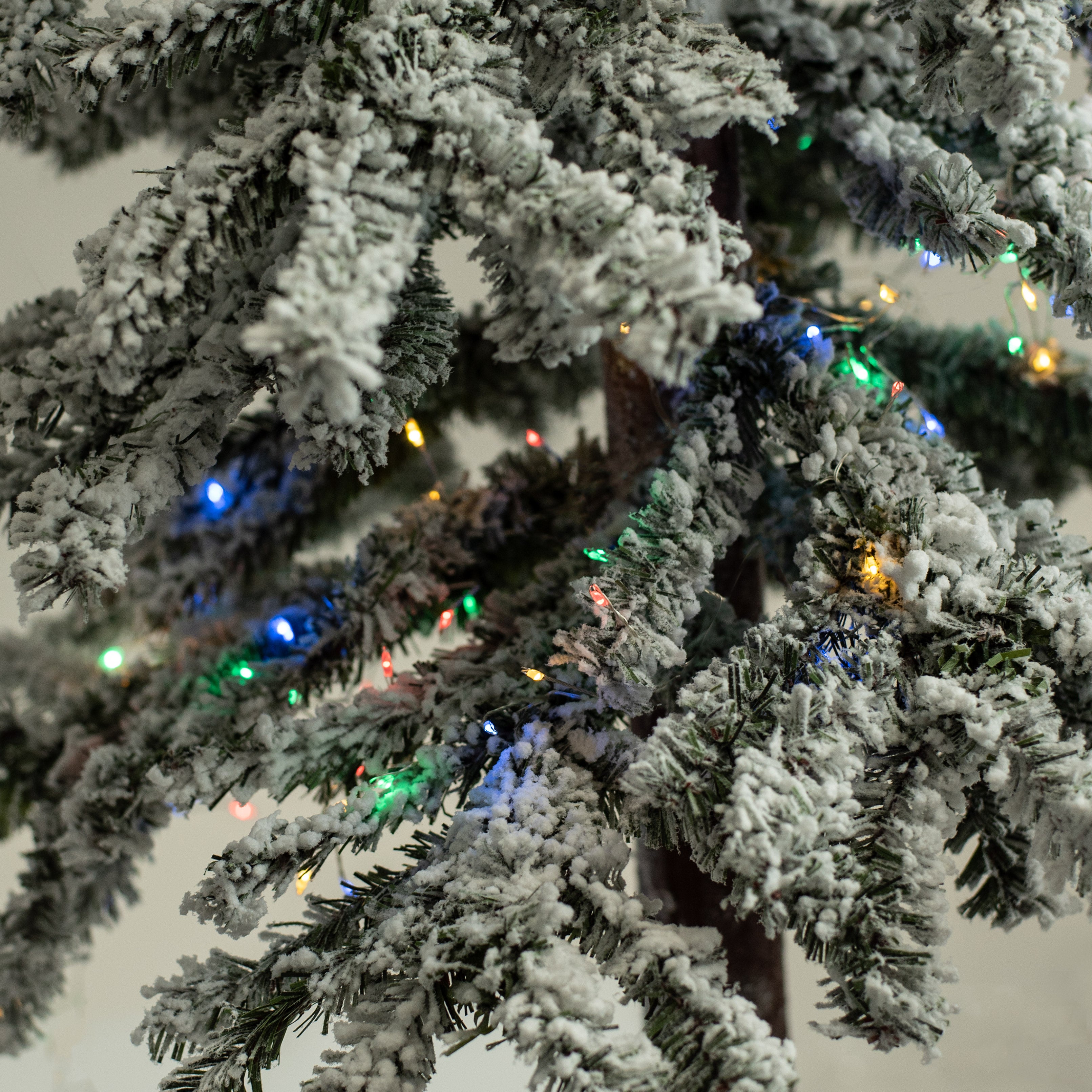 100 LED Battery Lights On Wire: Mixed Colors Lifestyle Photo