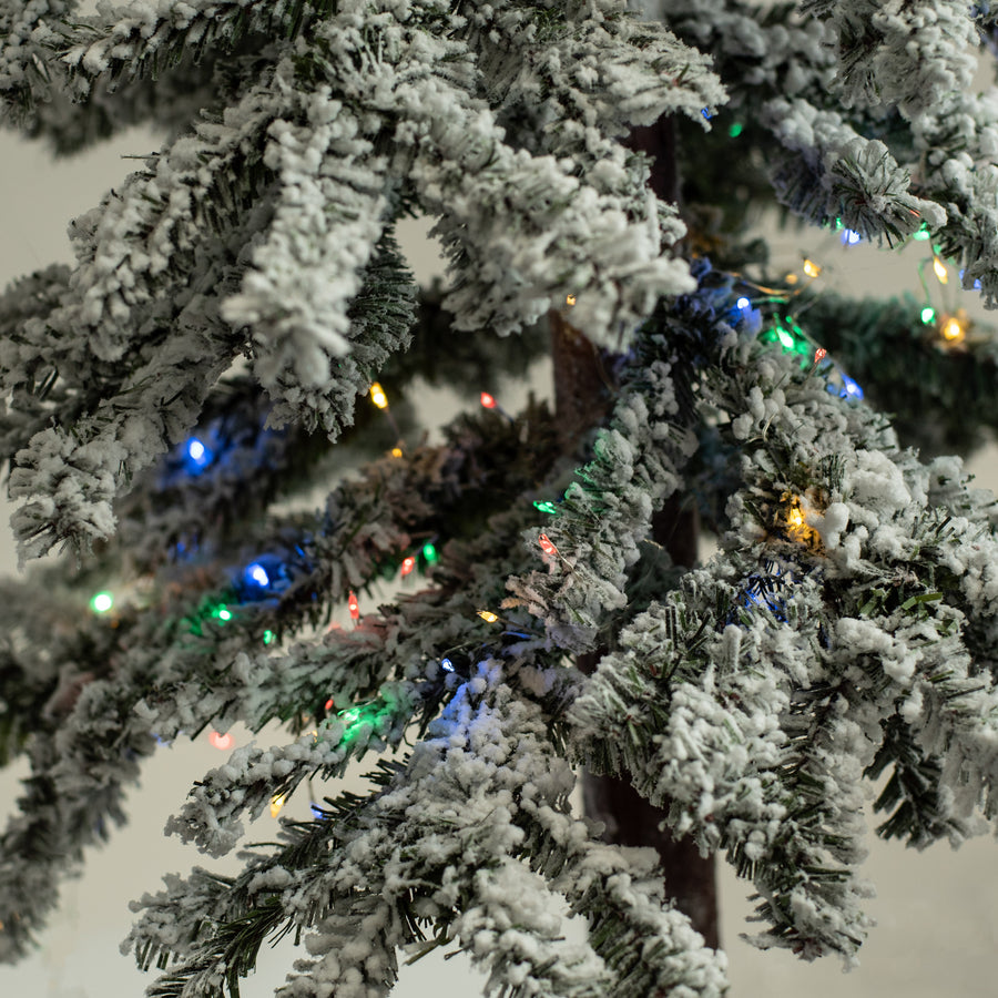 100 LED Battery Lights On Wire: Mixed Colors Lifestyle Photo