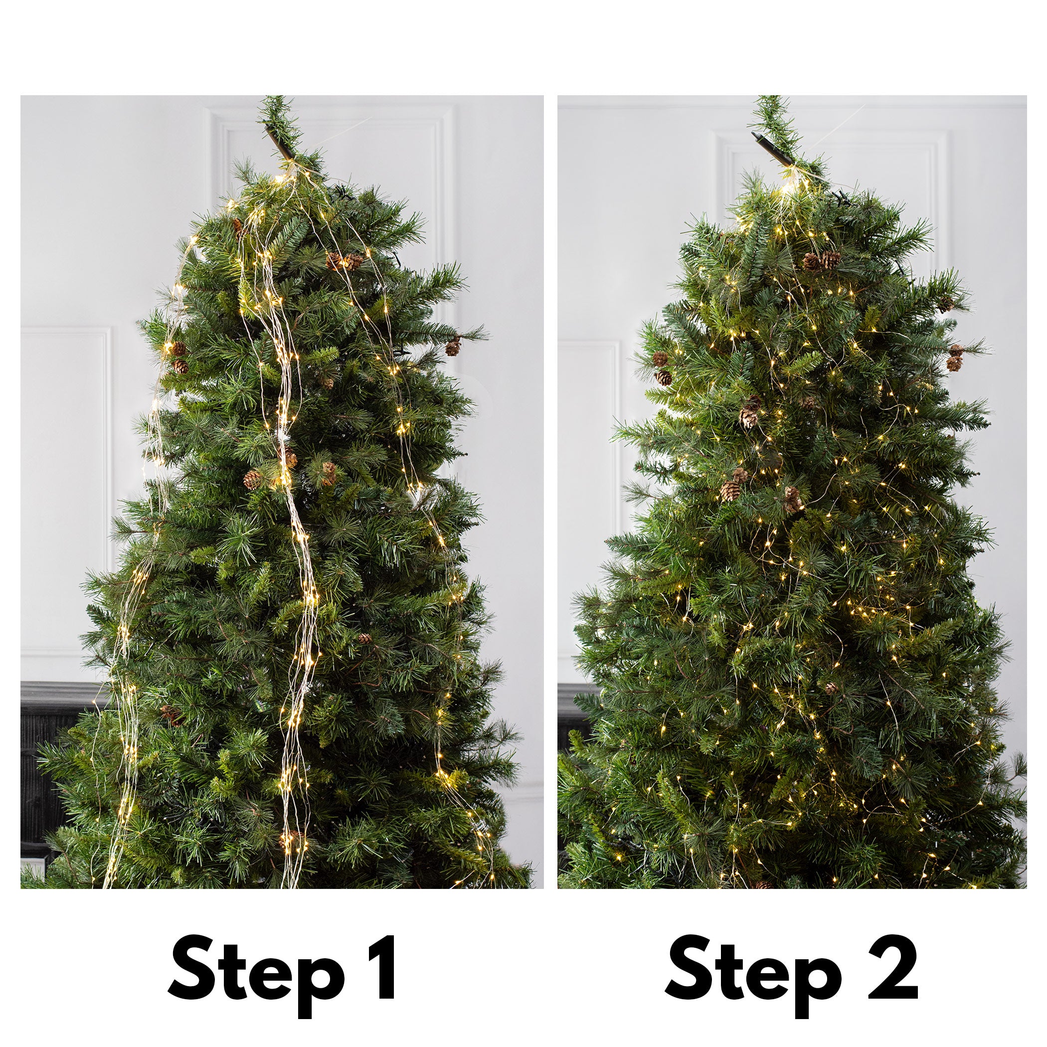 LED String Lights with Adapter: Warm White Lifestyle Photo