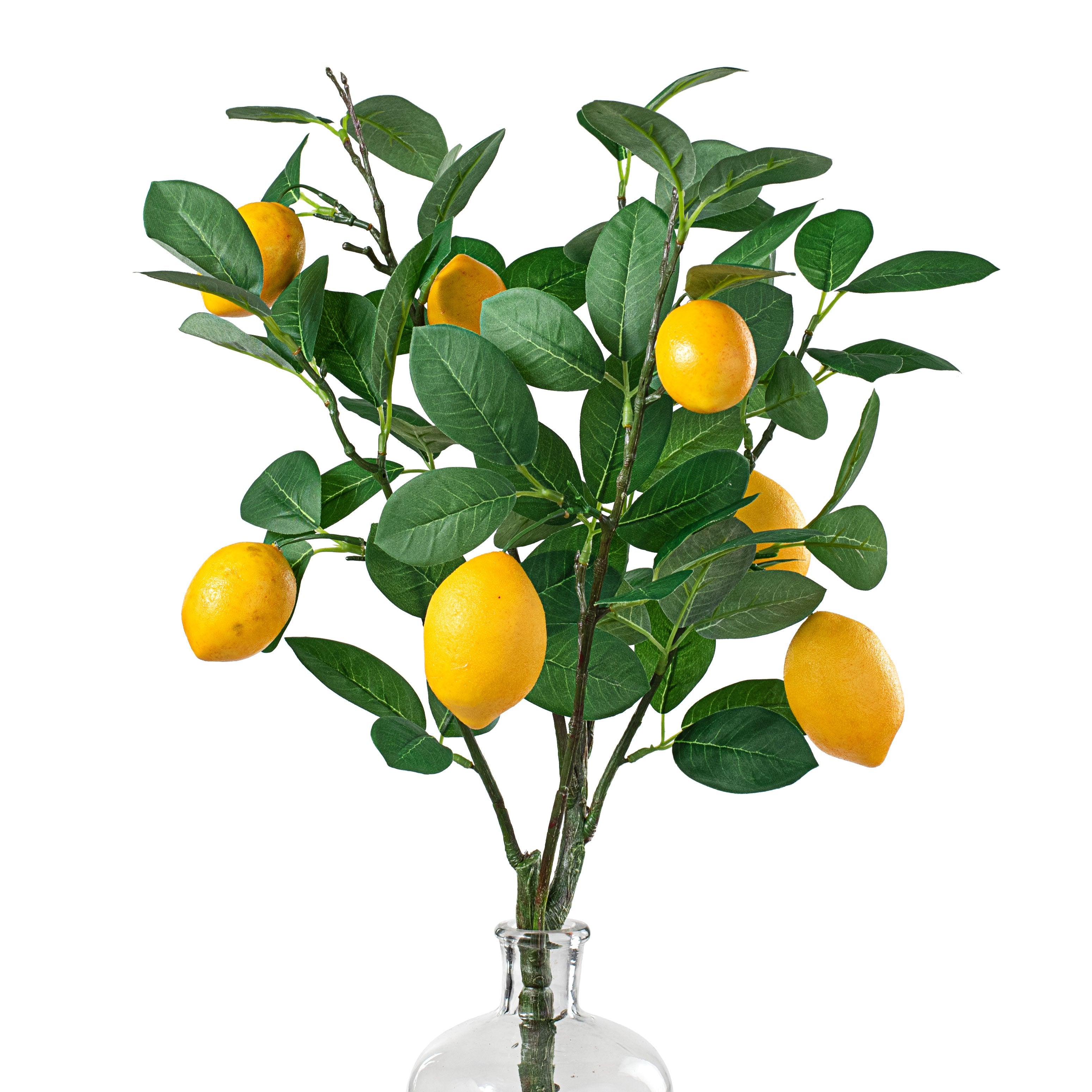 24" Lemon Bush Item Number: 62813BU24