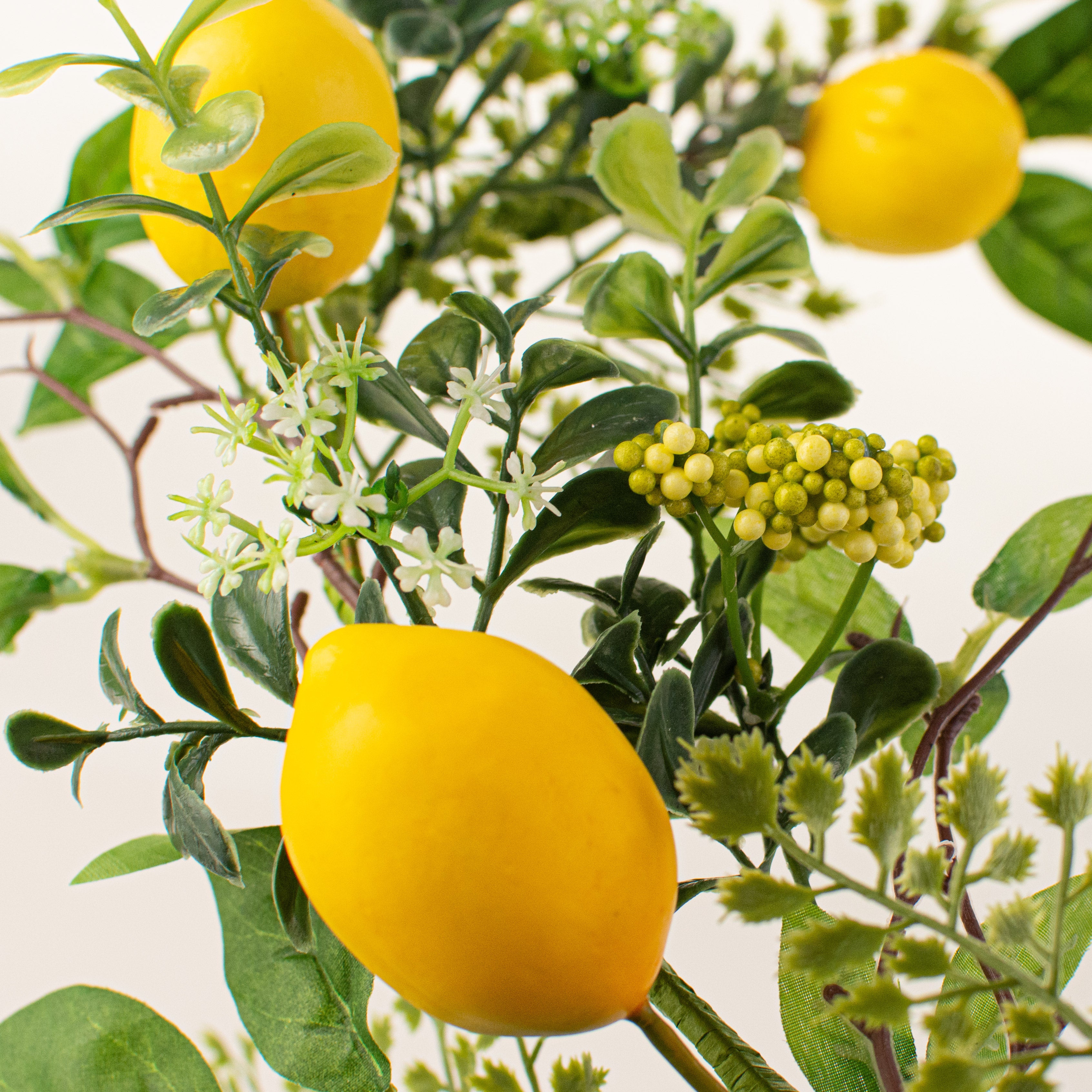 4' Lemon & Fern Garland detail photo 3