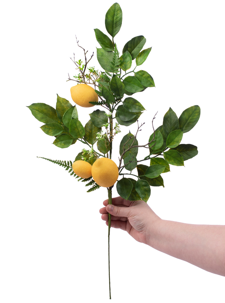 25" Lemon, Fern, Leaf Spray Lifestyle Photo