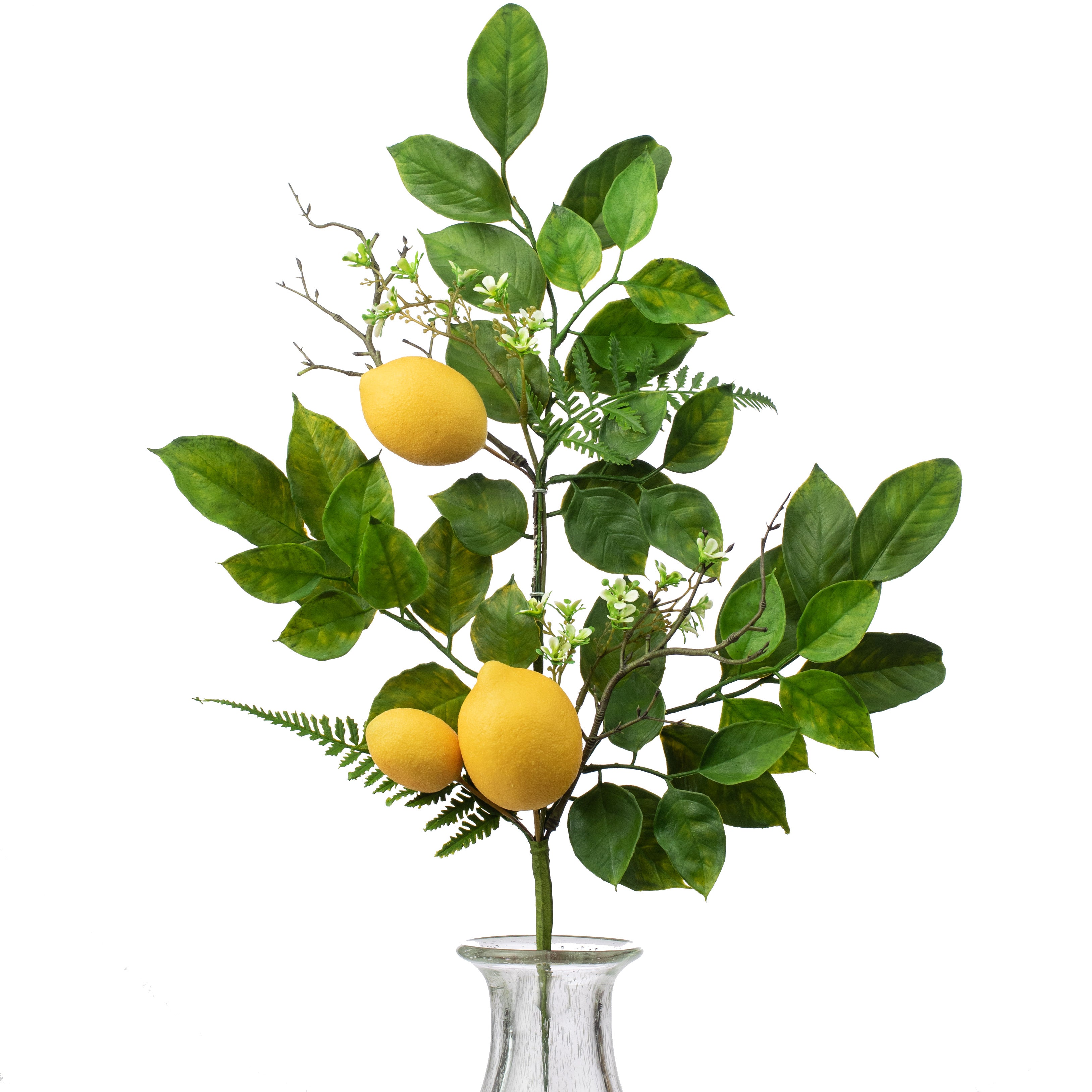 25" Lemon, Fern, Leaf Spray Item Number: 277670