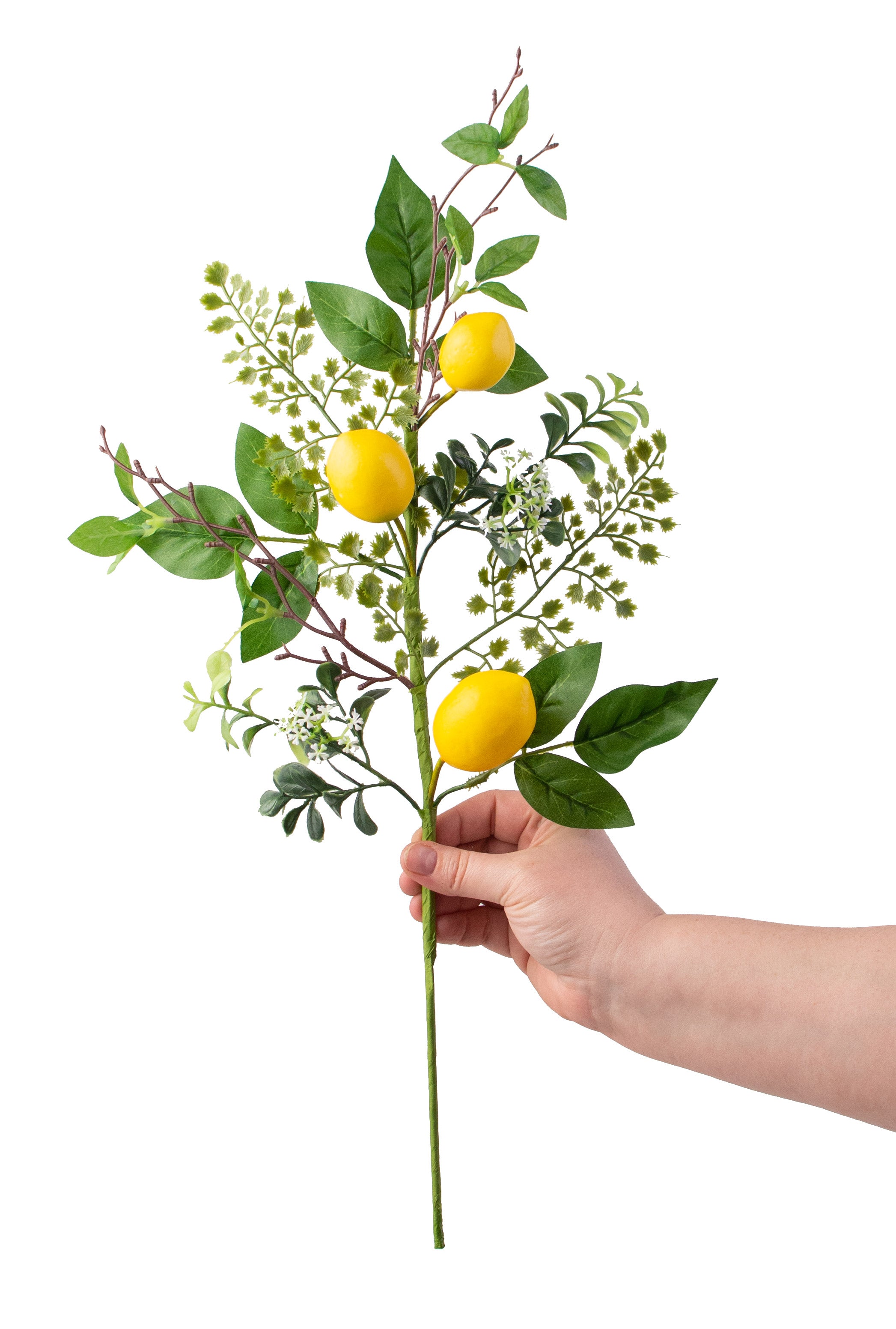 22" Lemon & Fern Spray detail photo 3