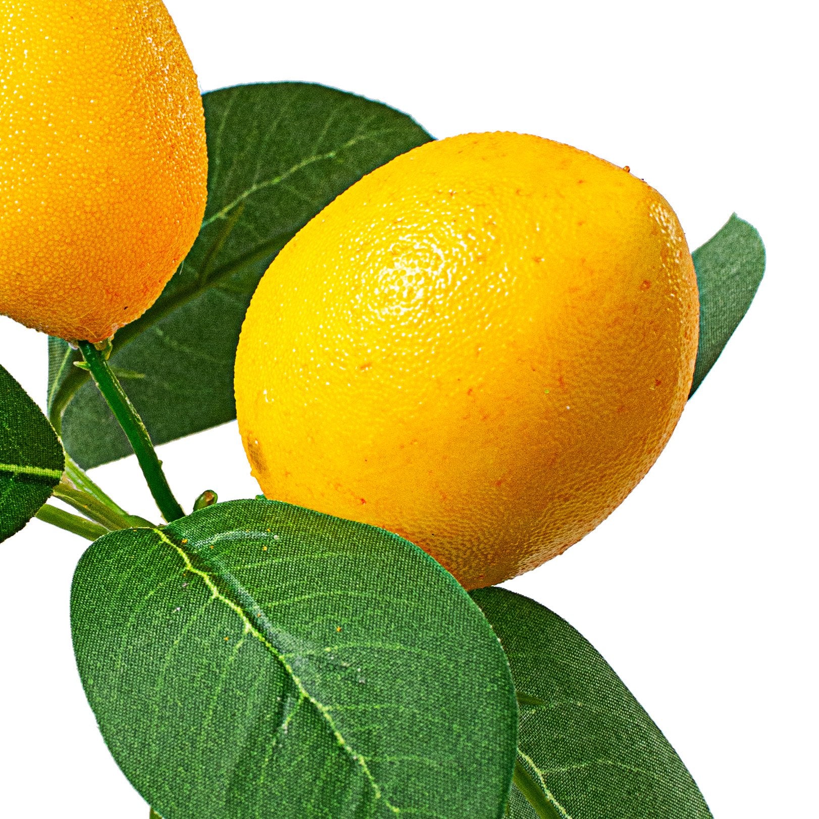 9" Lemon & Leaves Pick Lifestyle Photo