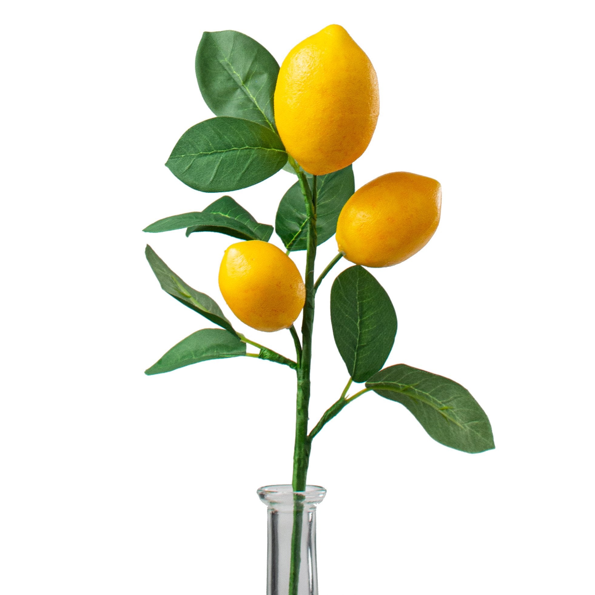 16" Lemon & Leaves Pick Item Number: 62813SP16