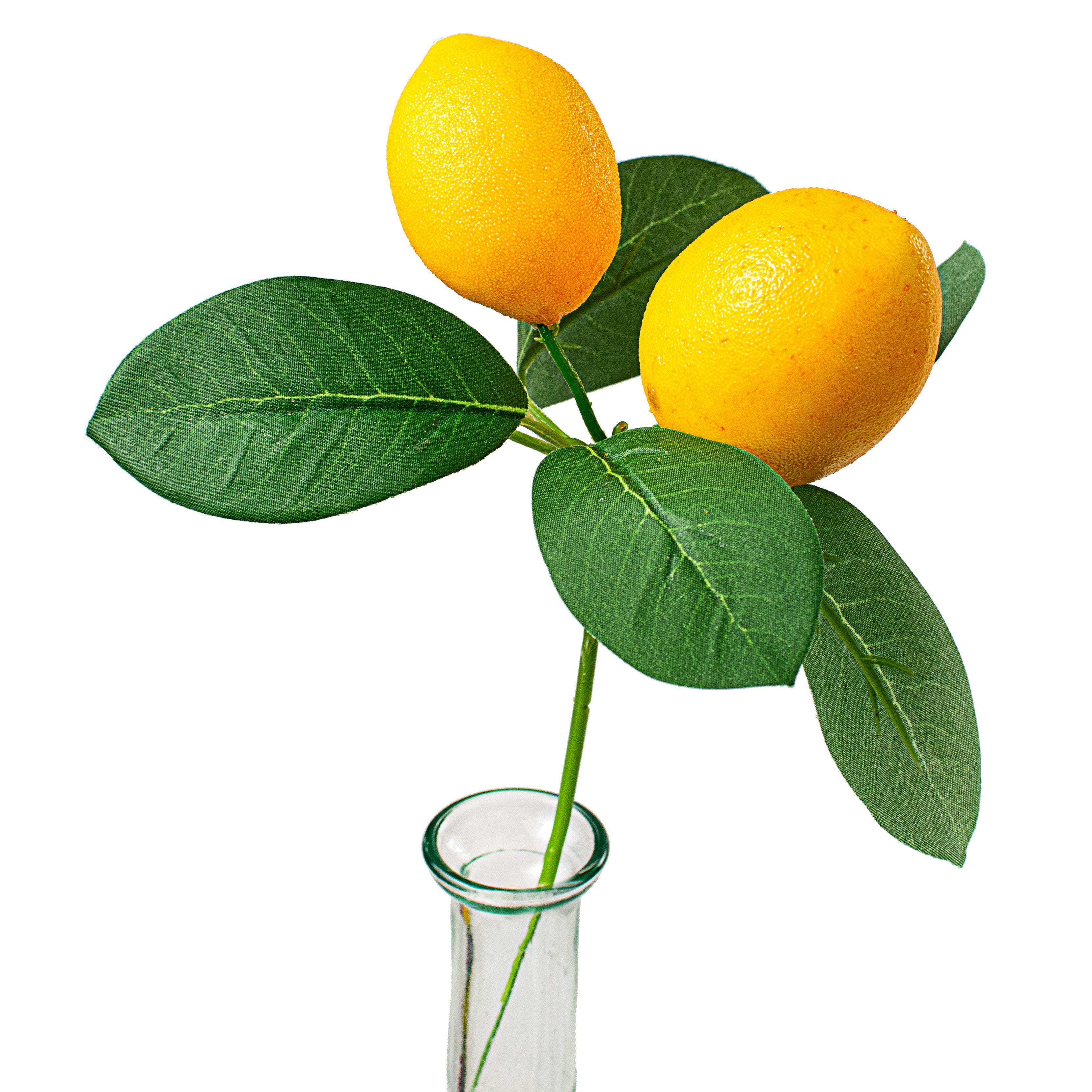 9" Lemon & Leaves Pick Item Number: 62813SP9