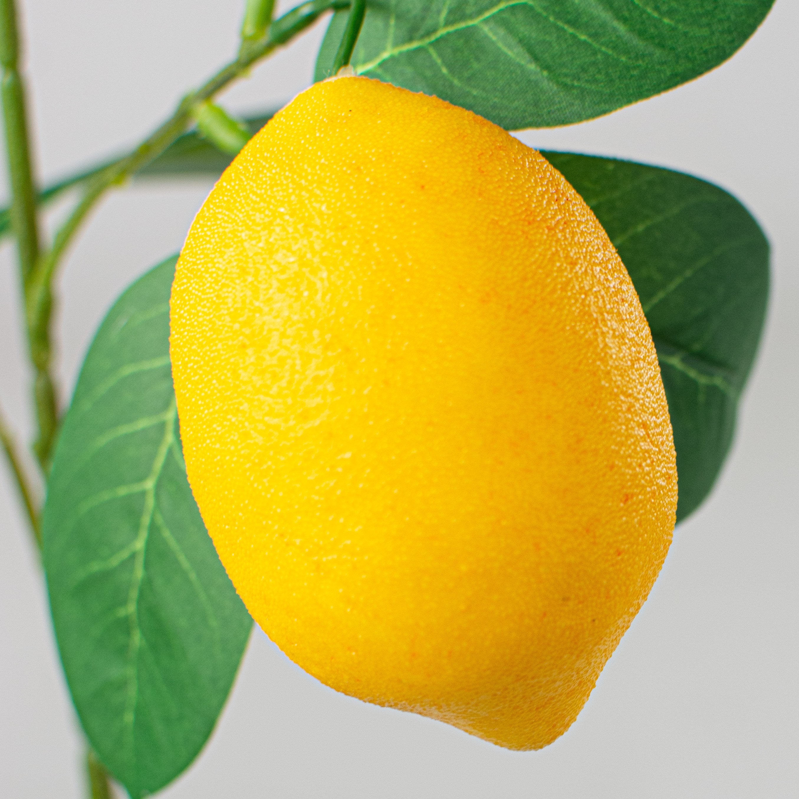 30" Lemon & Leaves Spray Lifestyle Photo