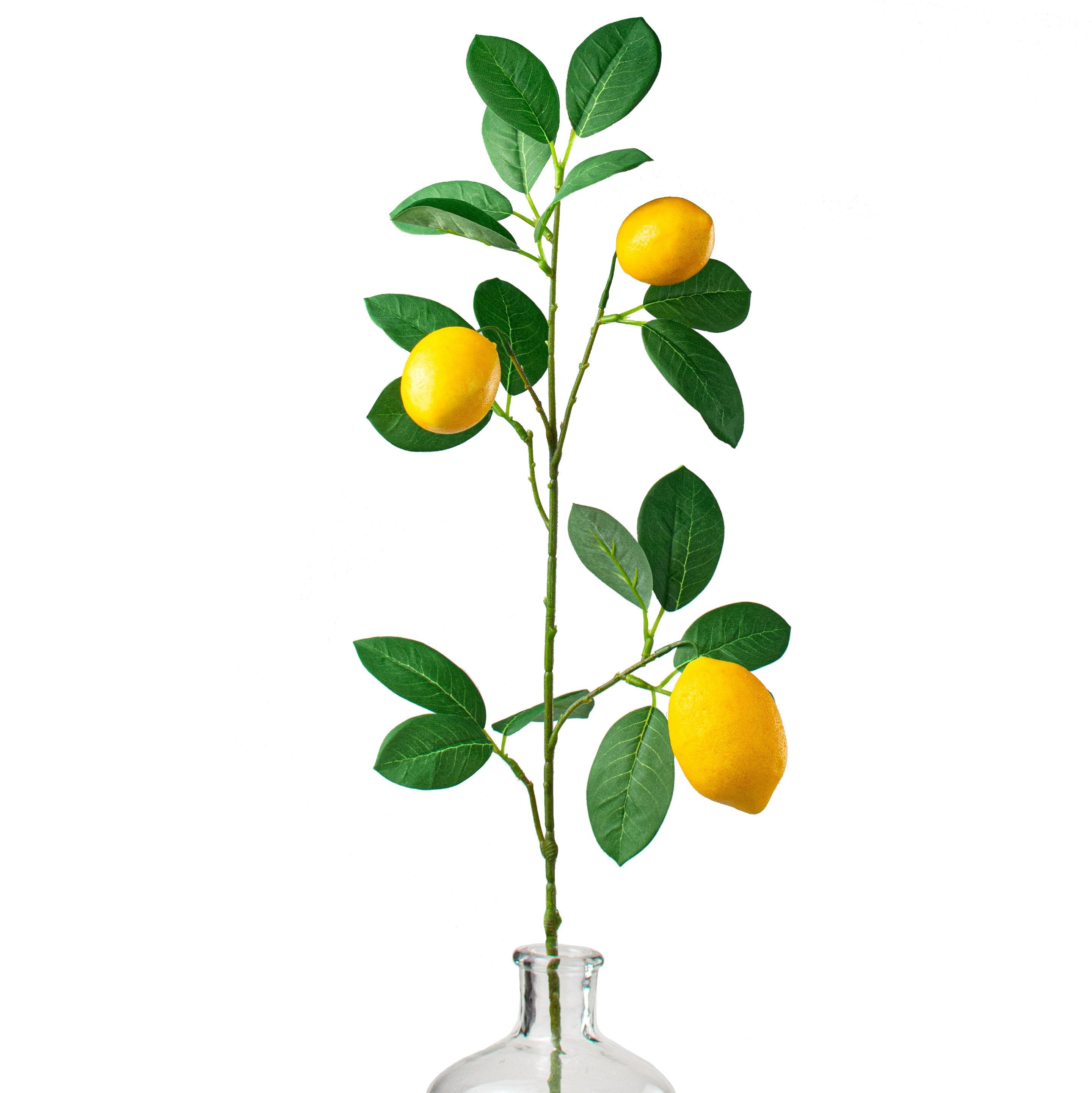 30" Lemon & Leaves Spray Item Number: 62813SP30