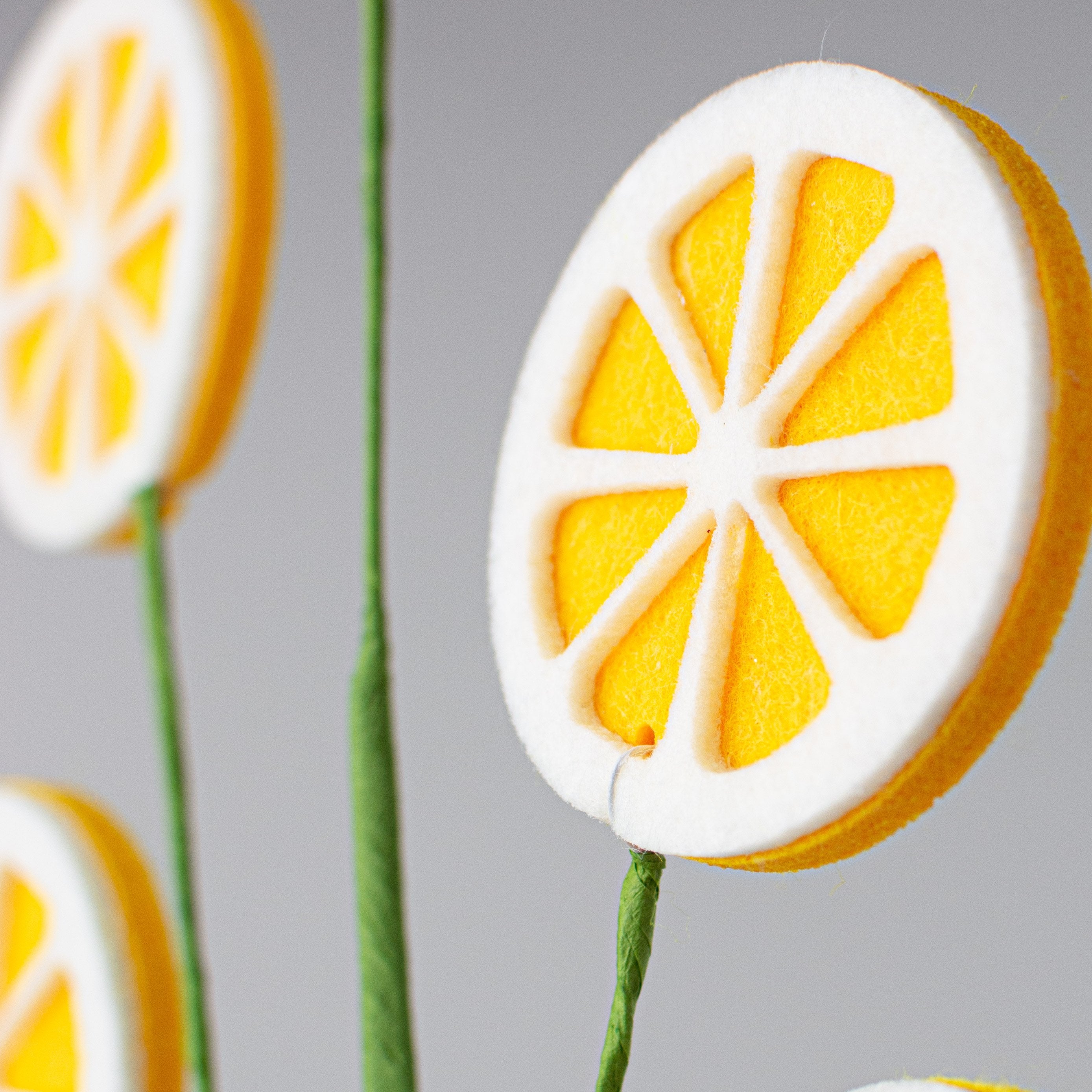 24" Lemon Slice Spray Lifestyle Photo
