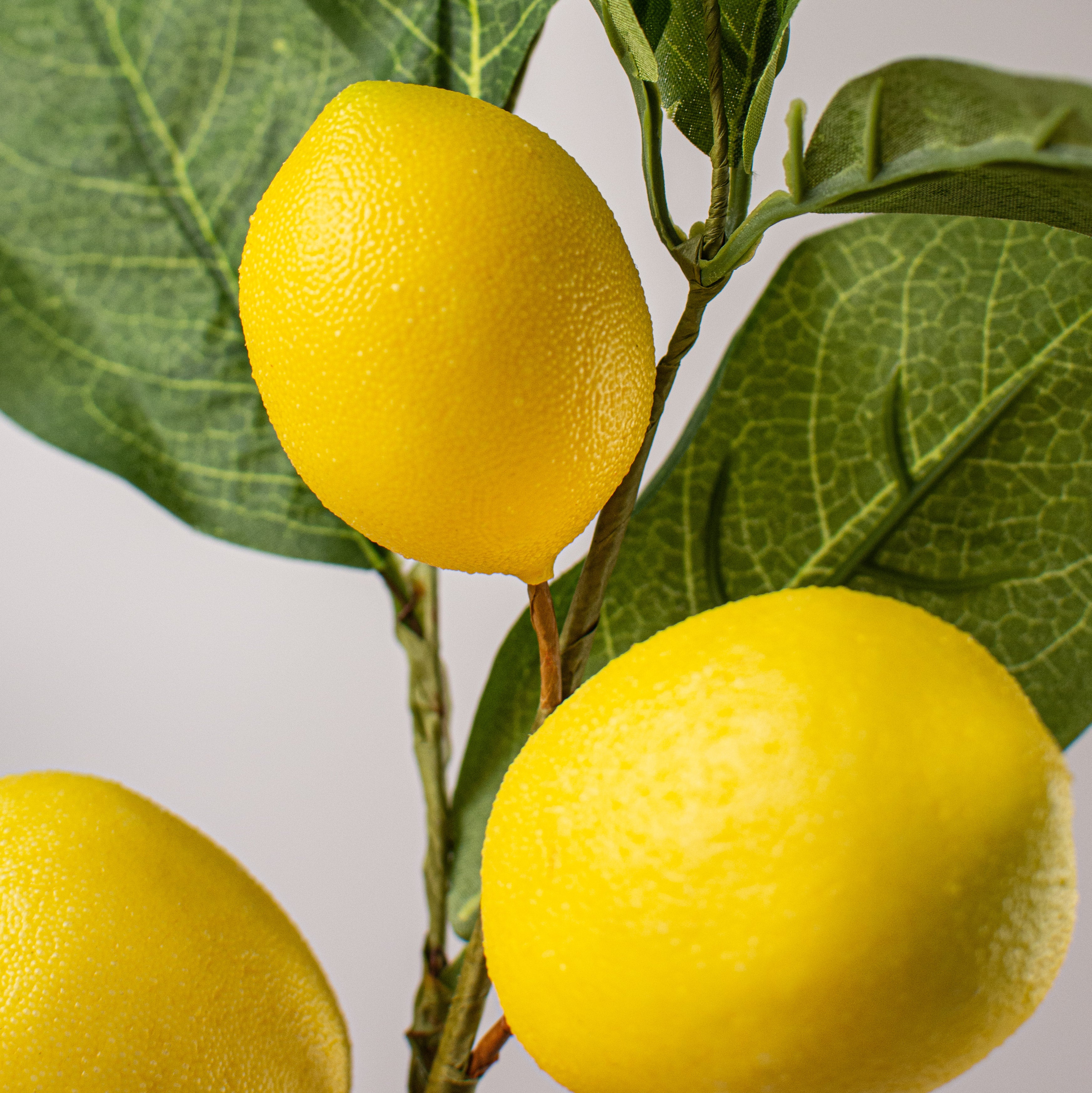 17" Lemon Spray Lifestyle Photo