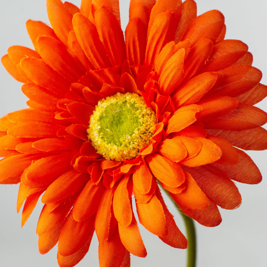 18" Gerbera Daisy Stem: Orange
