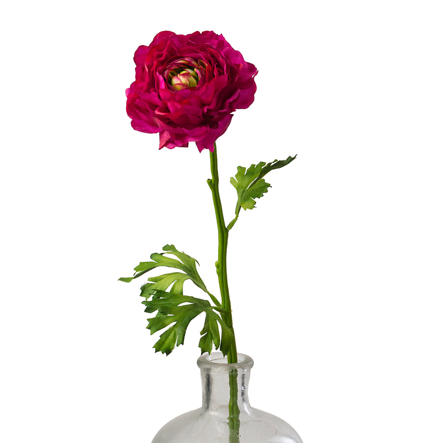 20" Ranunculus Stem: Beauty Pink