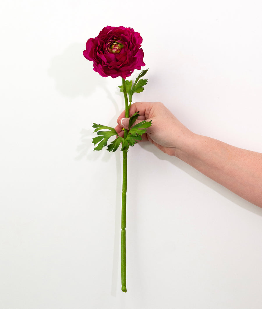 20" Ranunculus Stem: Beauty Pink