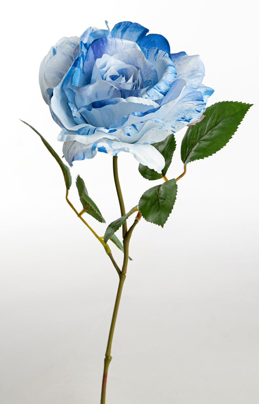 20