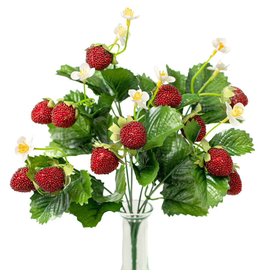13" Strawberry Bush