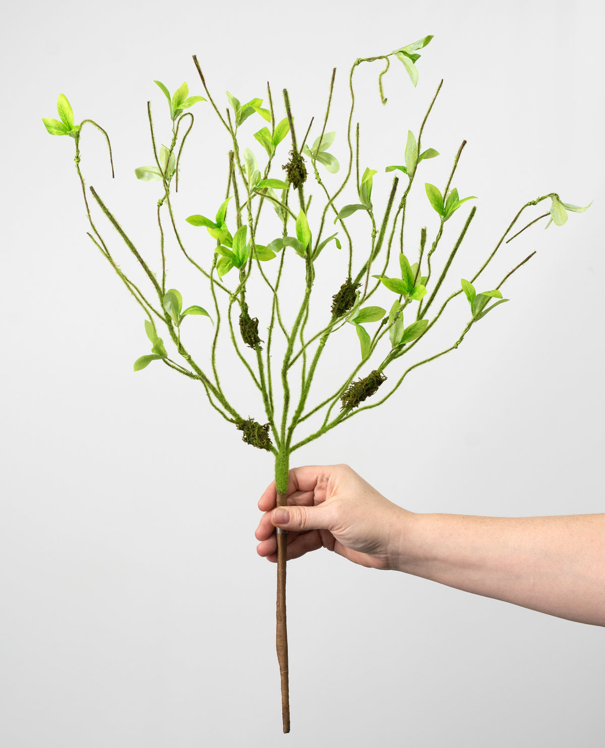 24" Mossy Twig & Sprout Bush