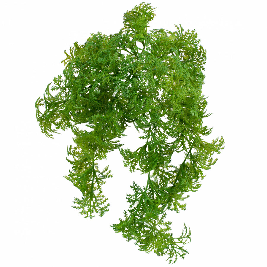11" Lichen Moss Item Number: FG515031