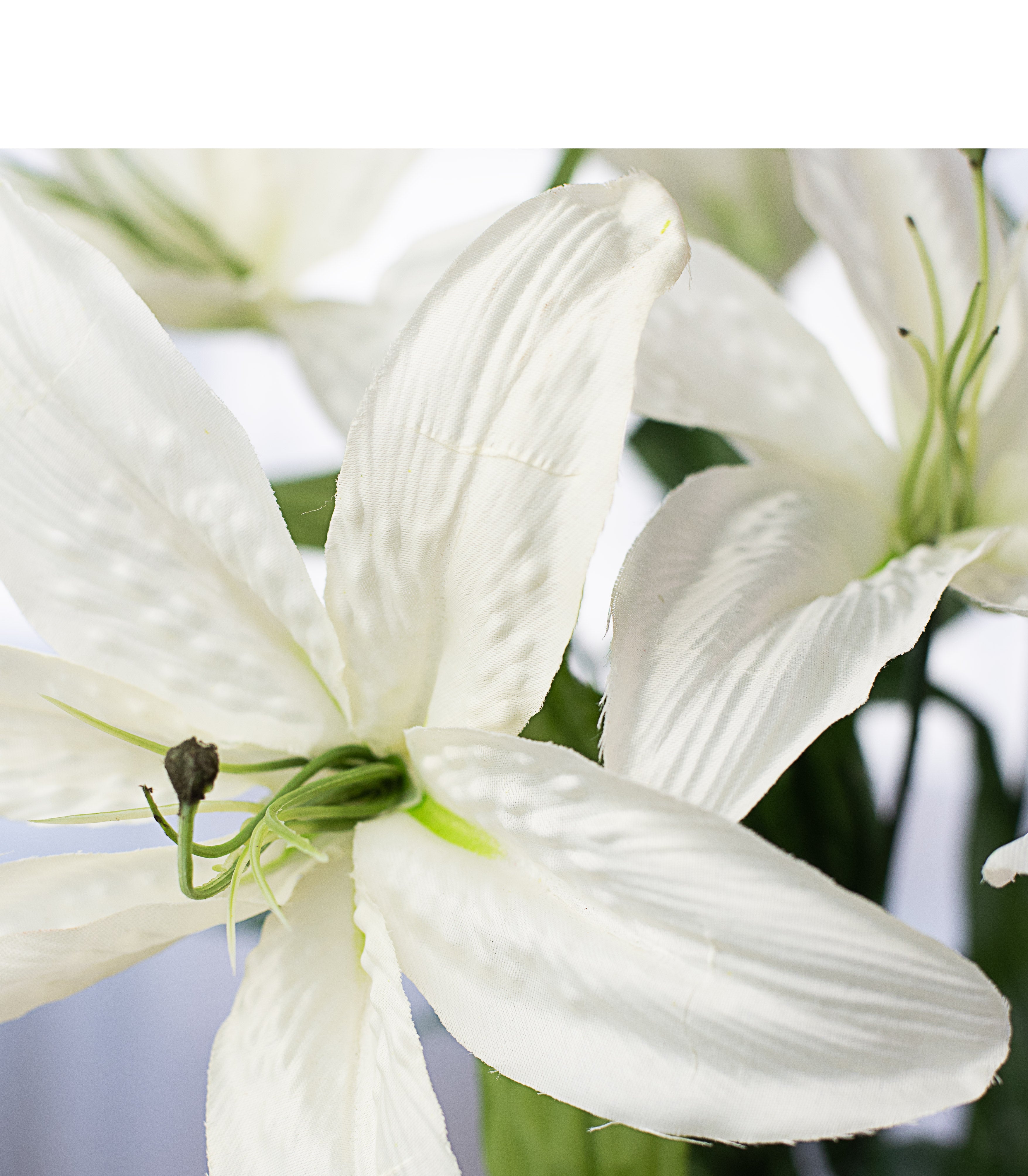 22" Lily Bush: Cream detail photo 3