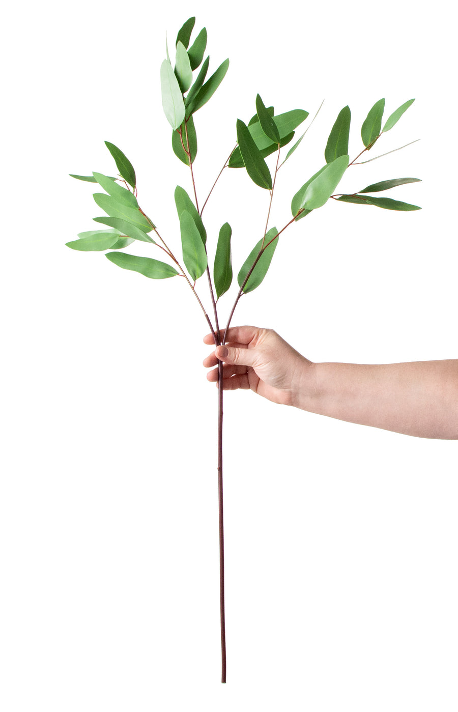 34" Long Leaf Seeded Eucalyptus Spray detail photo 3