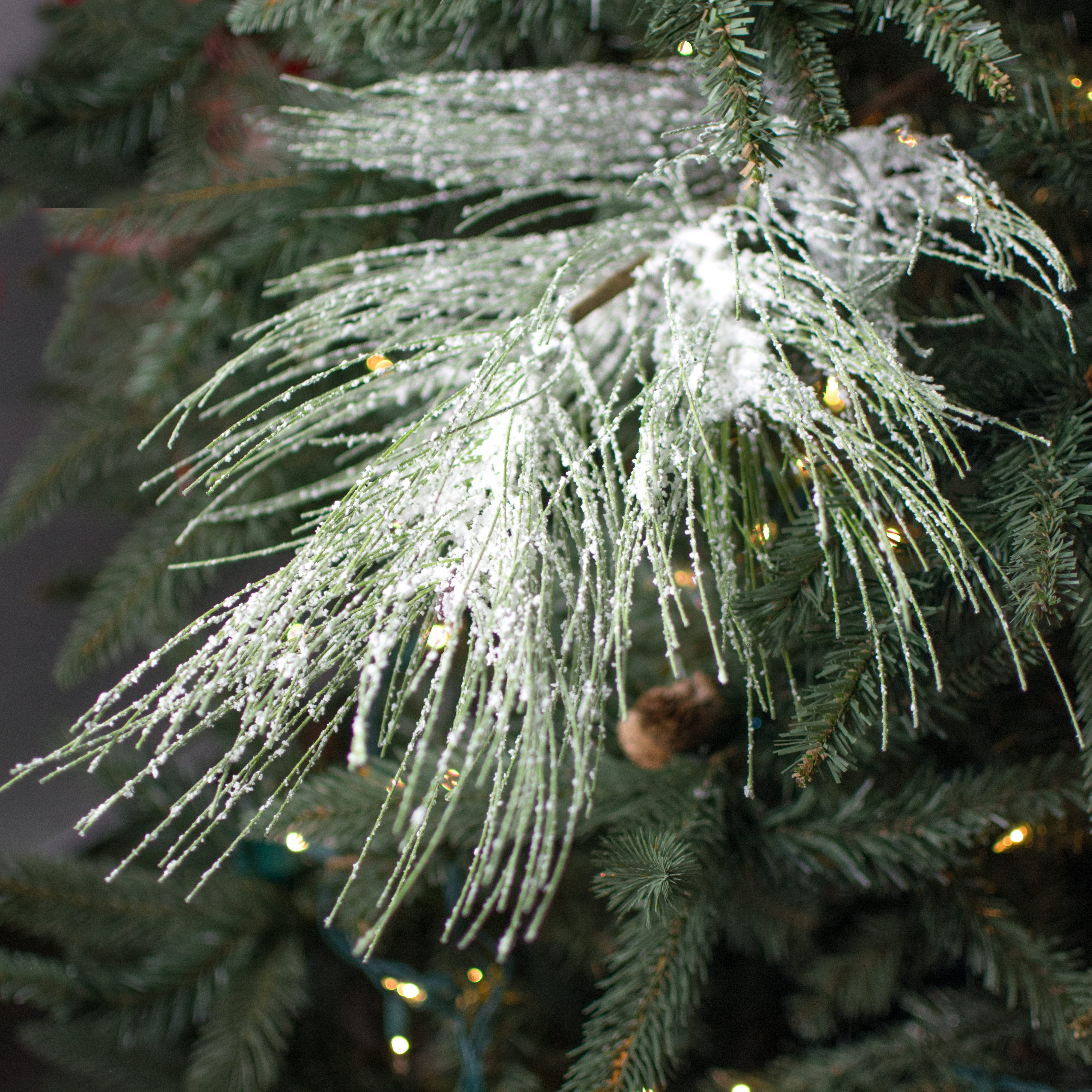 36" Long Needle Pine Spray: Snowed Green Lifestyle Photo