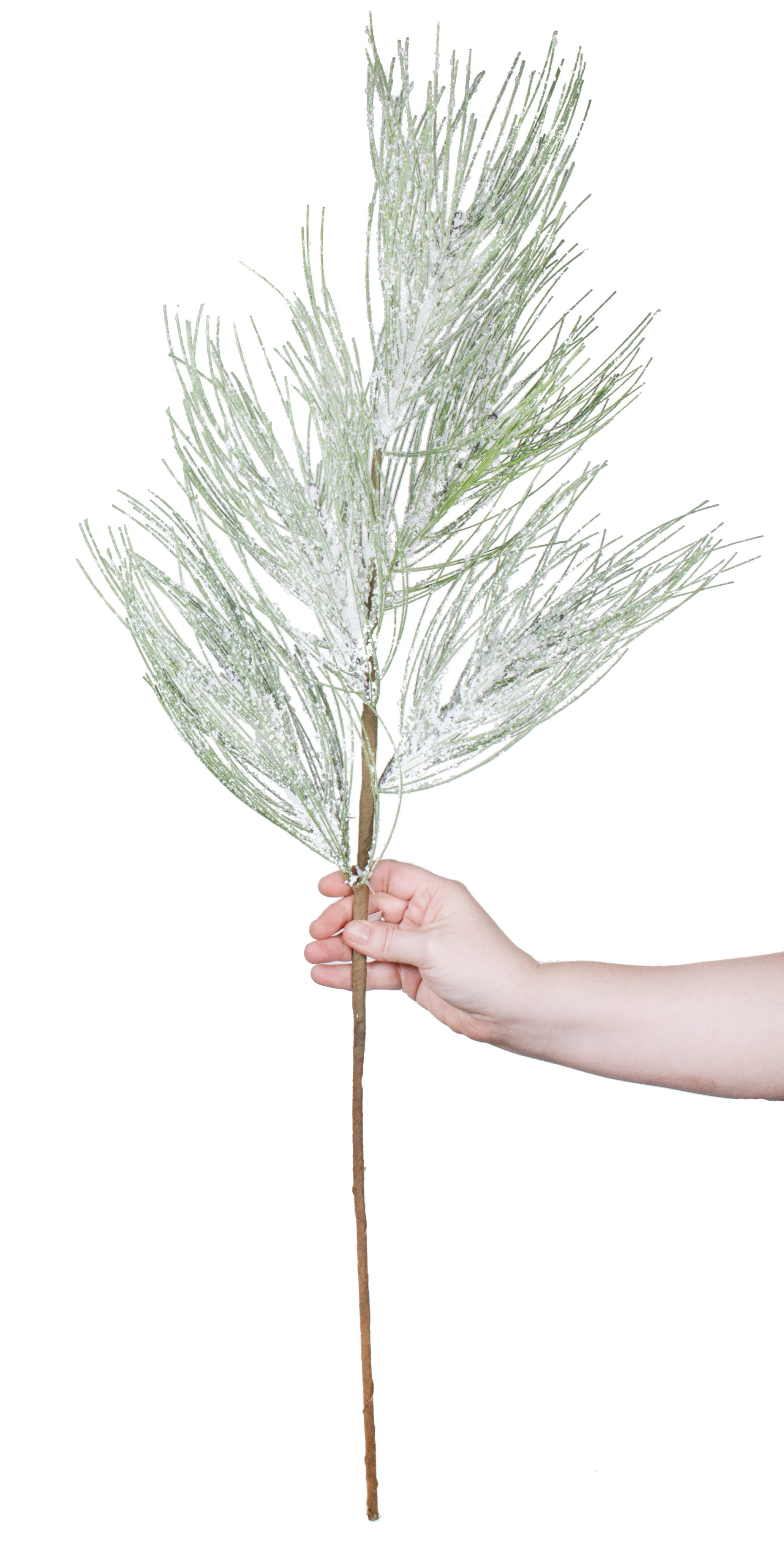 36" Long Needle Pine Spray: Snowed Green detail photo 3
