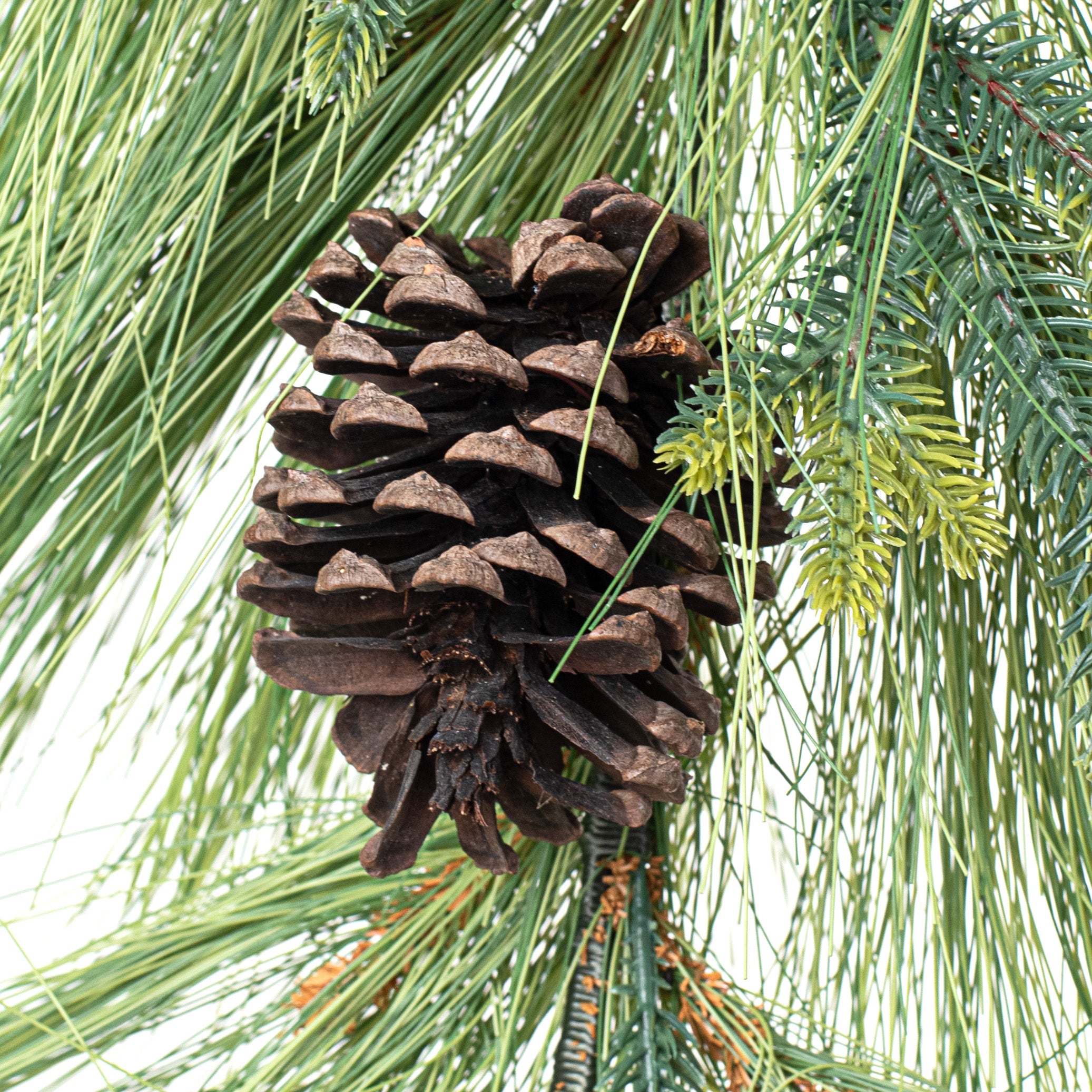 30" Long Needle Pine Teardrop detail photo 3
