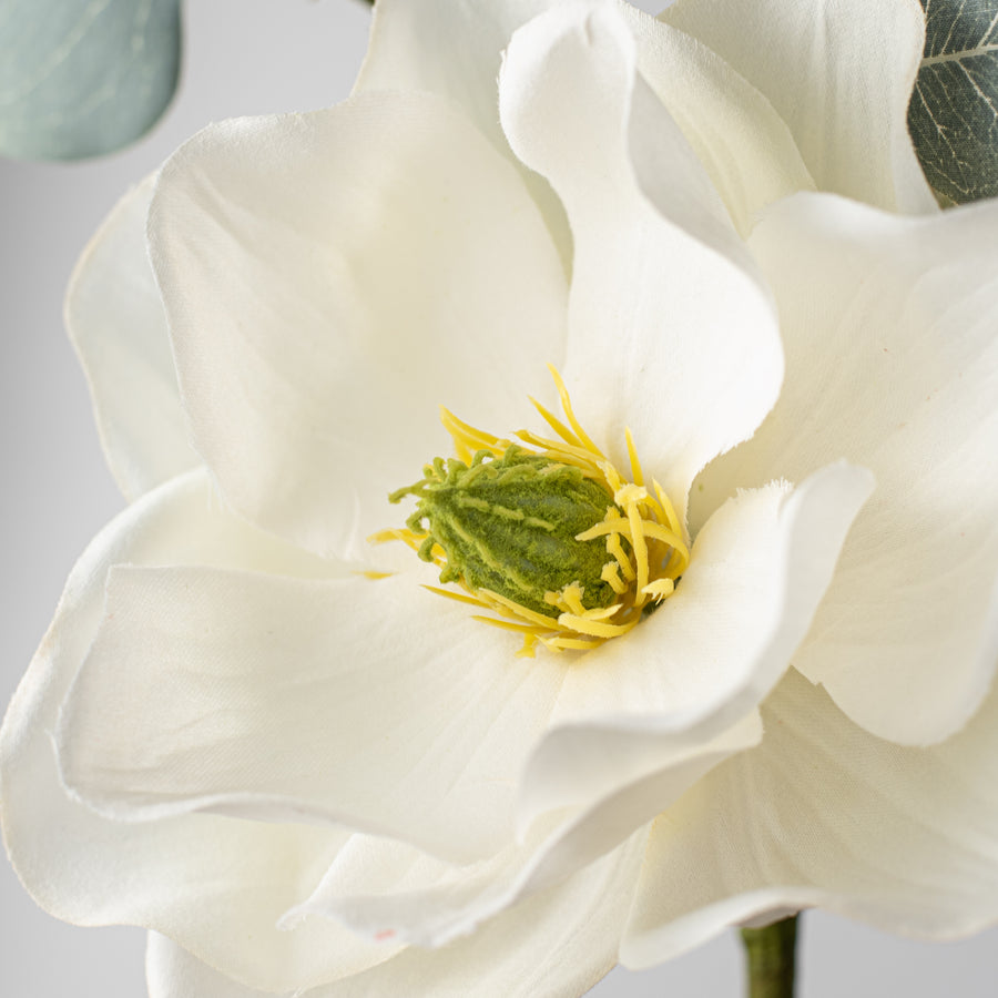 18" Magnolia Eucalyptus Pick Lifestyle Photo