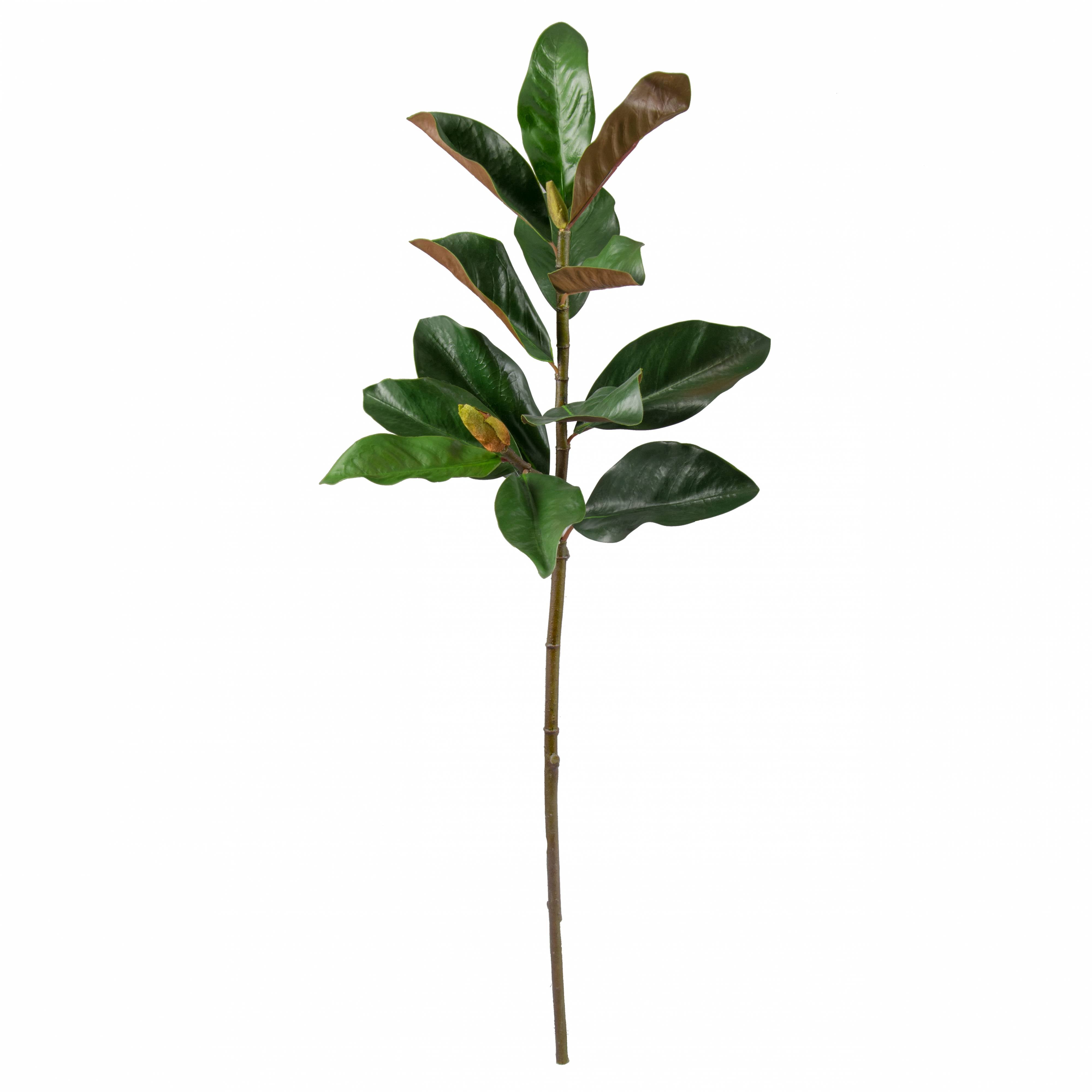 32" Magnolia Flower Bud & Leaves Stem Item Number: 2310149GR