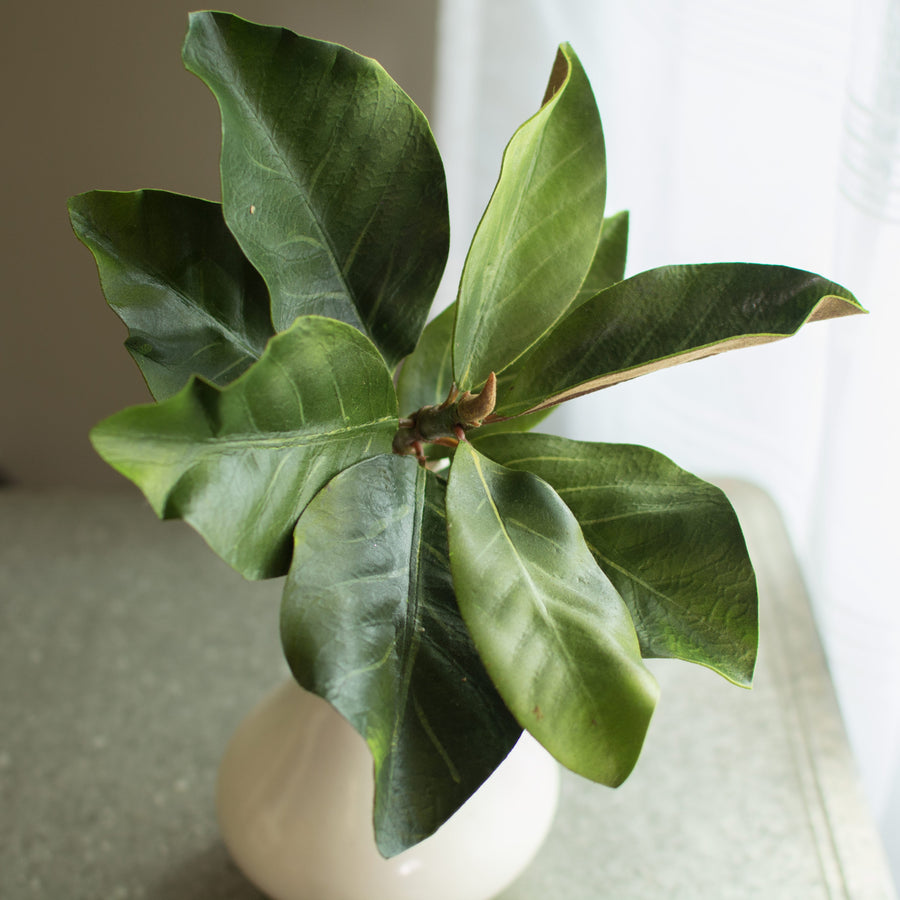 15" Magnolia Leaf Pick Lifestyle Photo