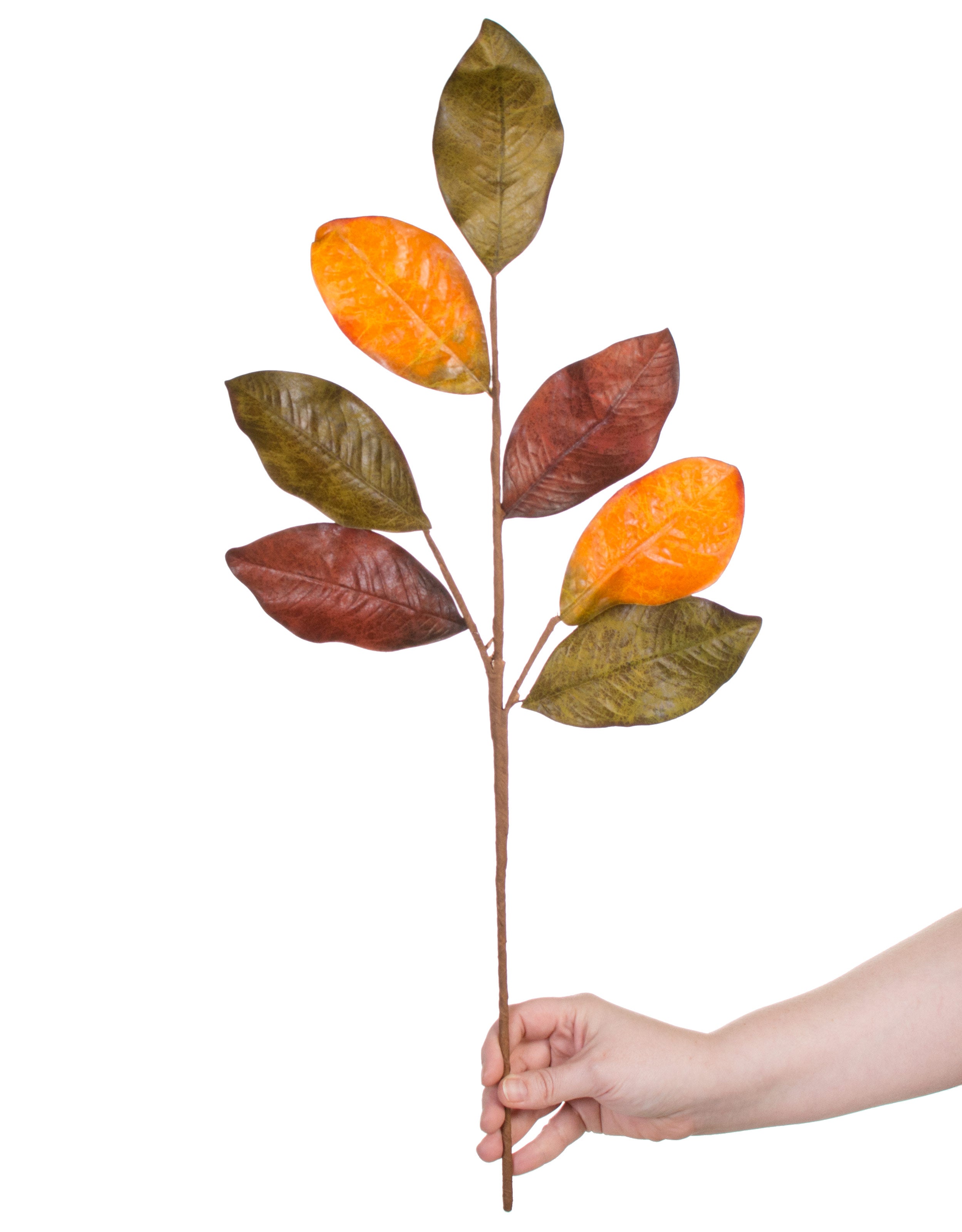 24" Magnolia Leaf Spray: Fall Mix detail photo 4