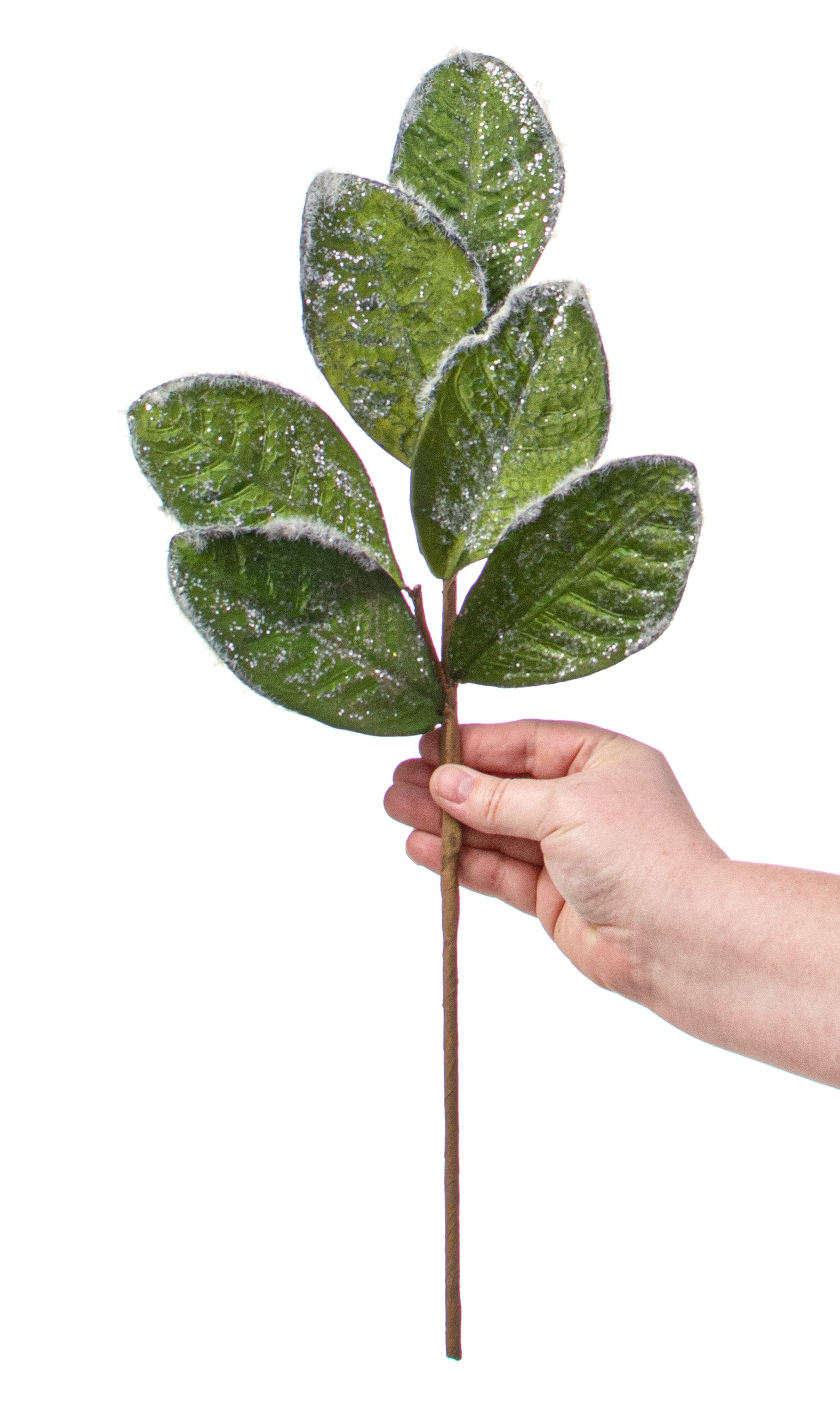 20" Magnolia Leaf Spray: Green Flocked detail photo 3