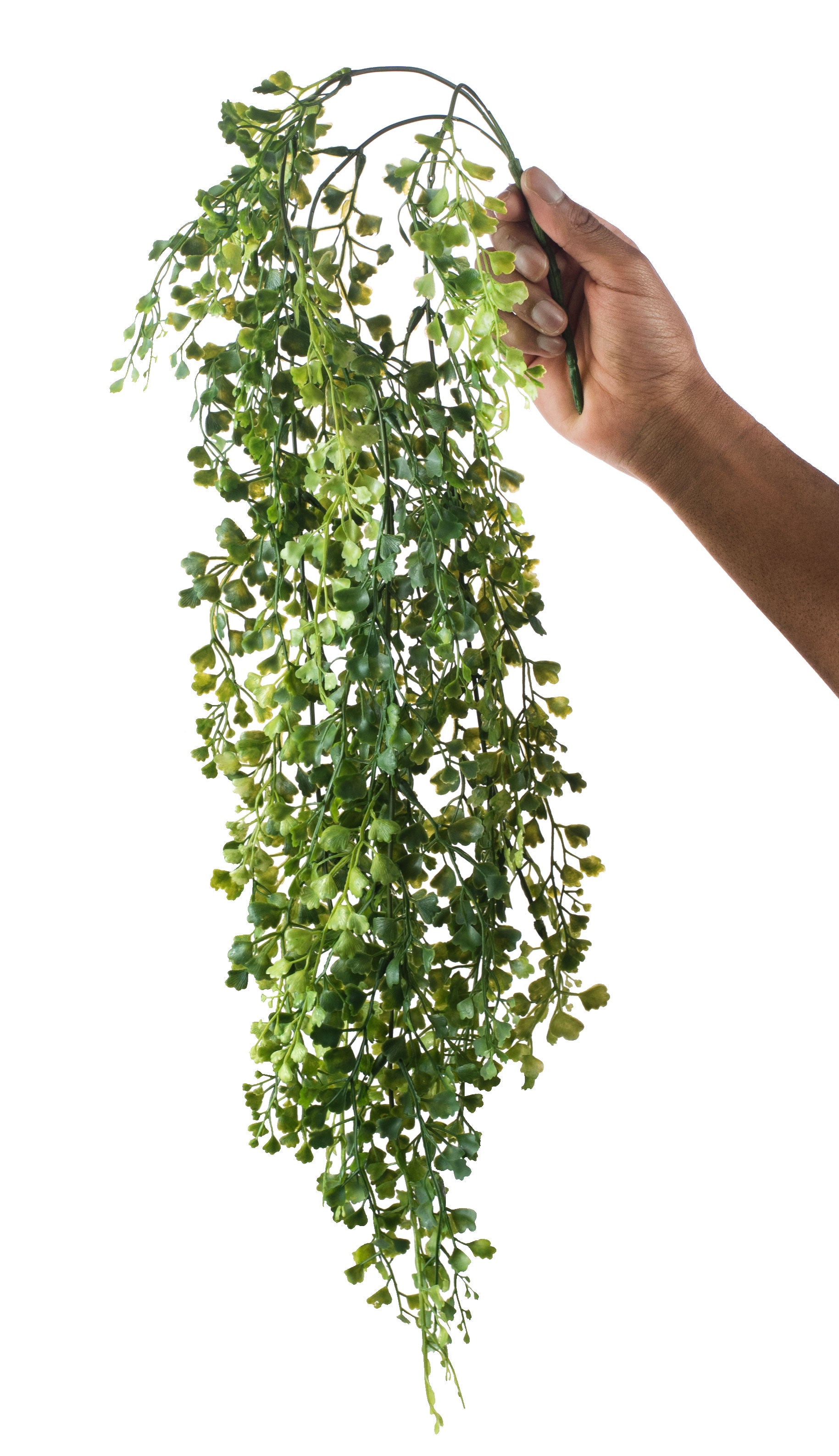 33" Maidenhair Hanging Spray Lifestyle Photo