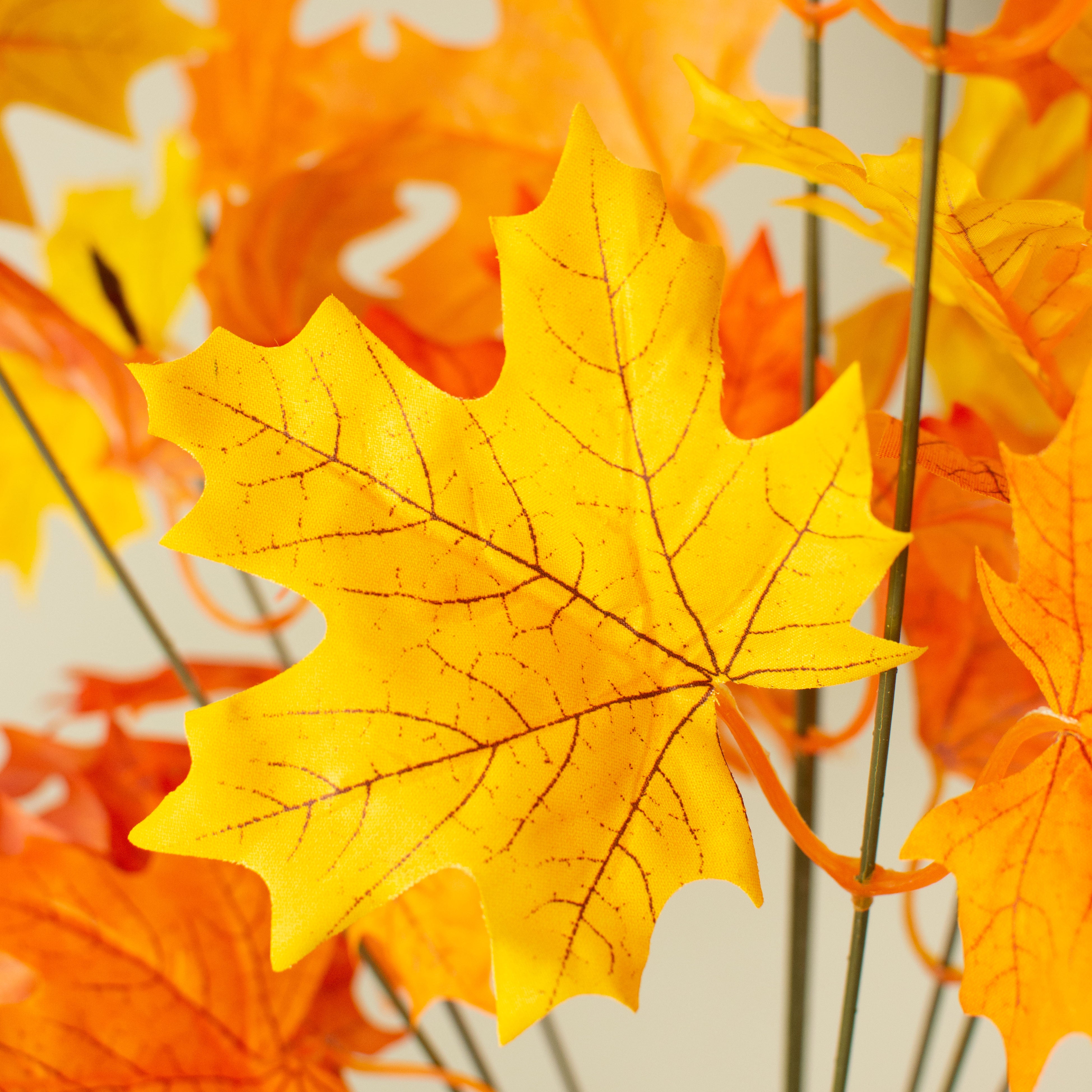 20" Maple Leaf Bush: Orange & Yellow Lifestyle Photo