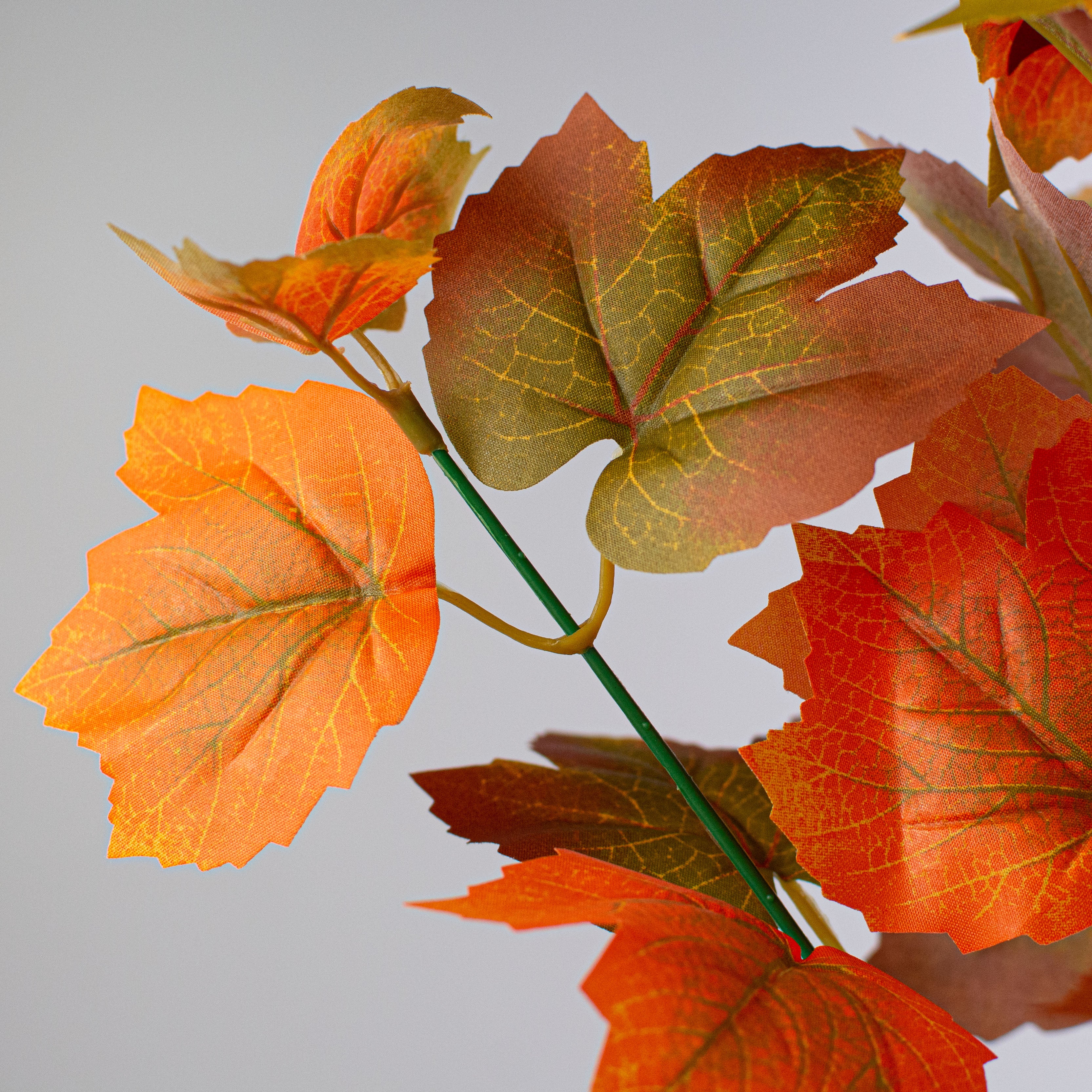 13" Maple Leaves Bush Lifestyle Photo