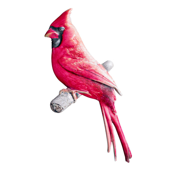 ☆人気☆【Cardinal Red】☆Hawoo-a ba.g☆Black (Silver)☆ CUAA Cardinal Hat - Black – Concordia Ann Arbor