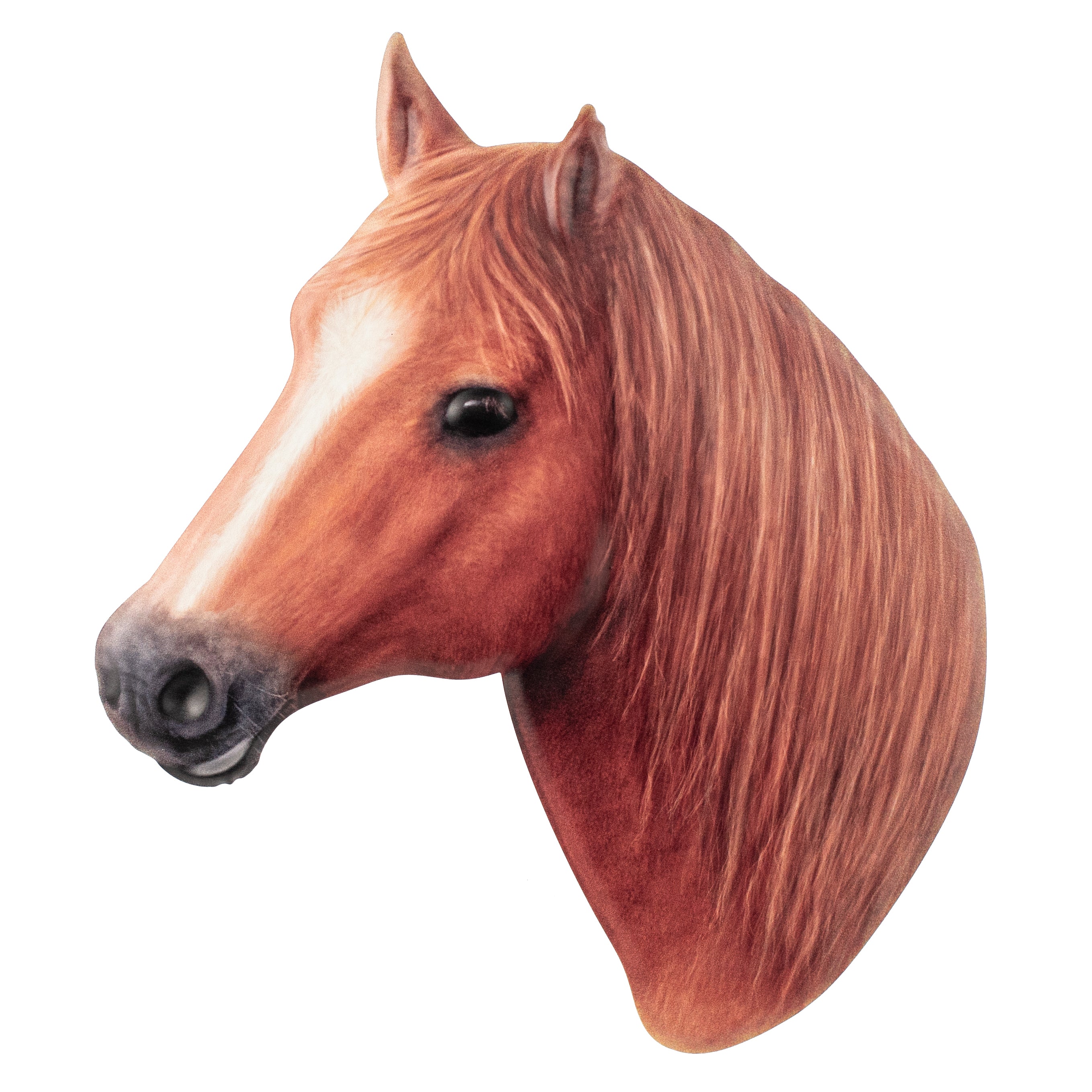 13" Metal Embossed Hanger: Chestnut Brown Horse Item Number: MD126375