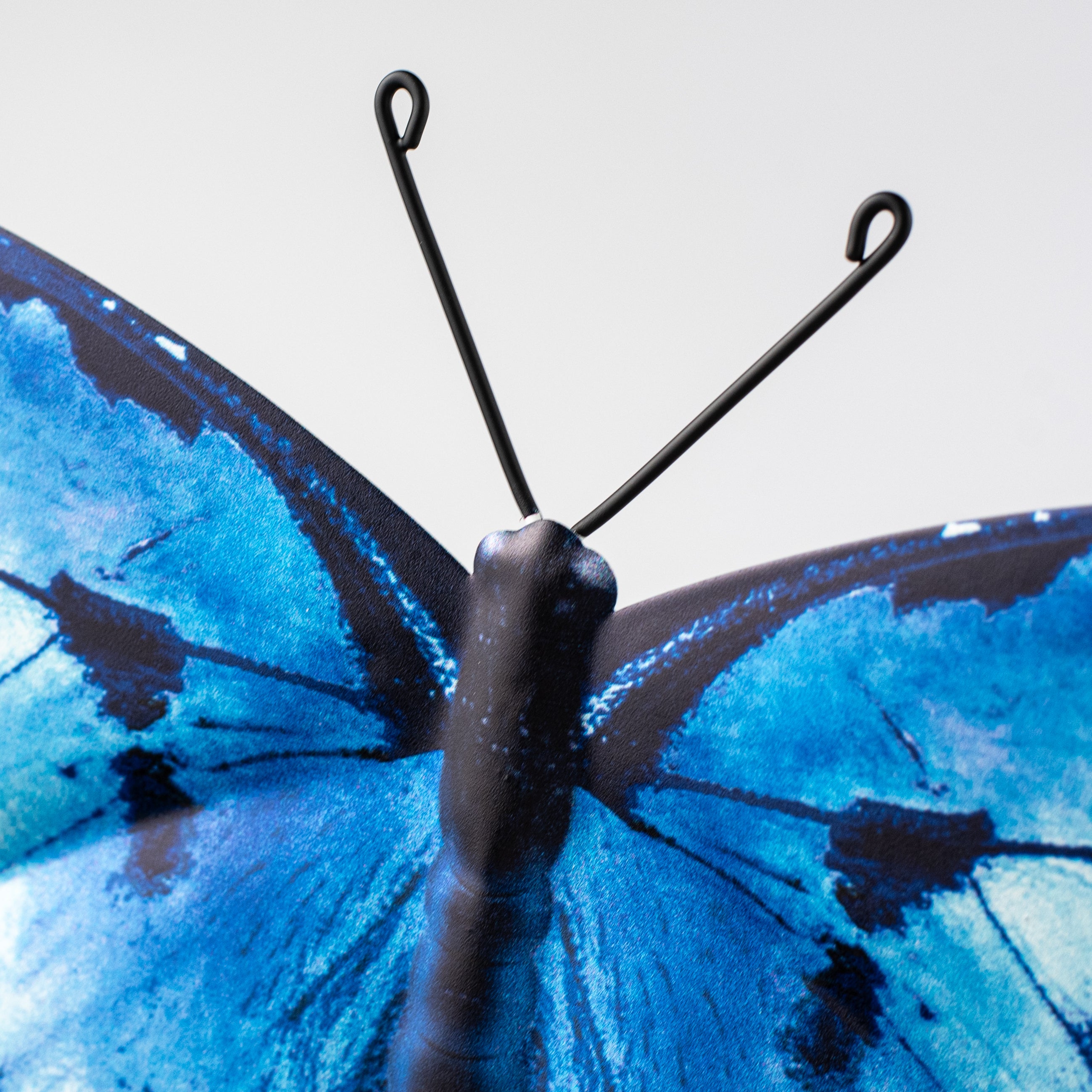 13" Metal Embossed Swallowtail Butterfly Sign: Blue detail photo 3