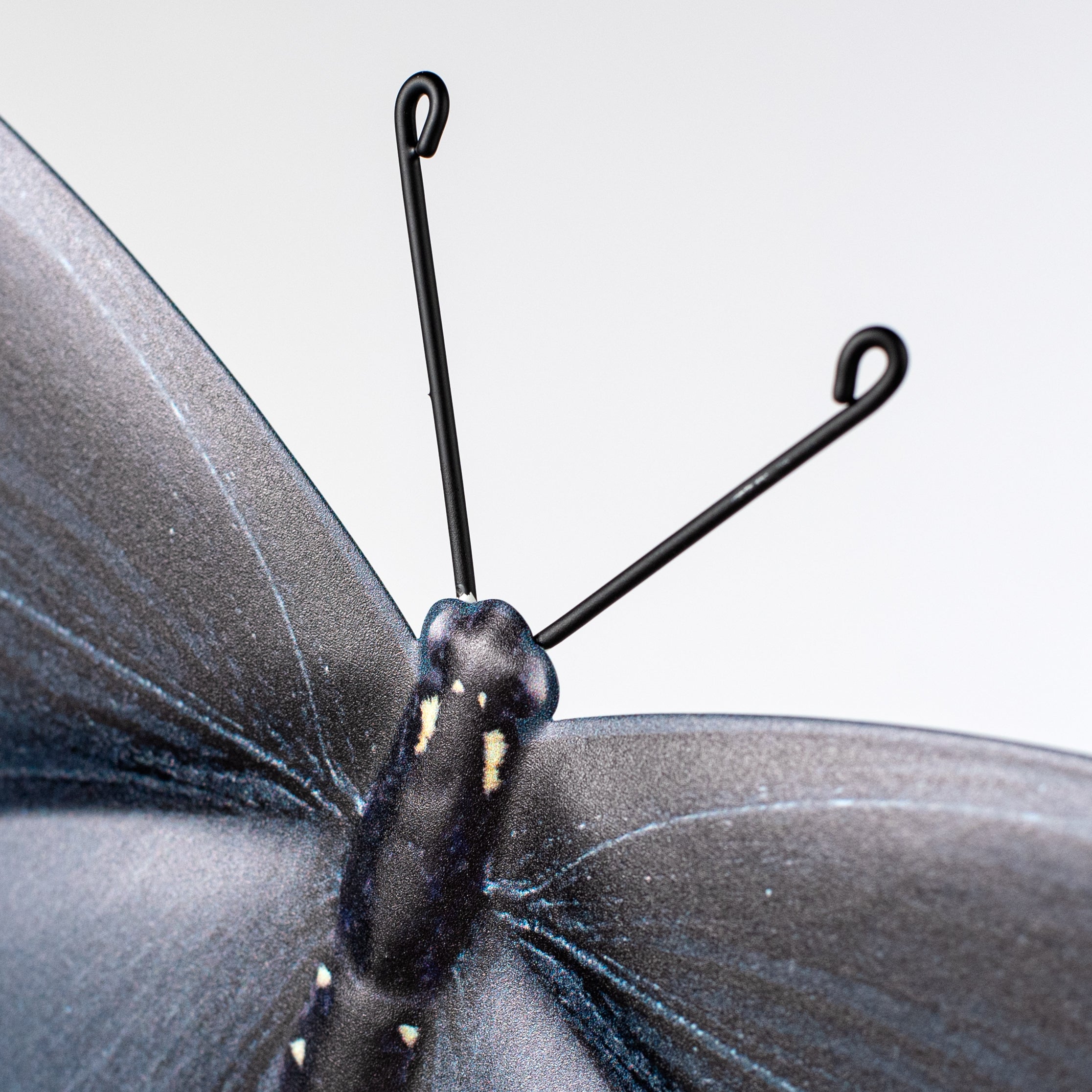 13" Metal Embossed Swallowtail Butterfly Sign: Charcoal, Black & Blue detail photo 4