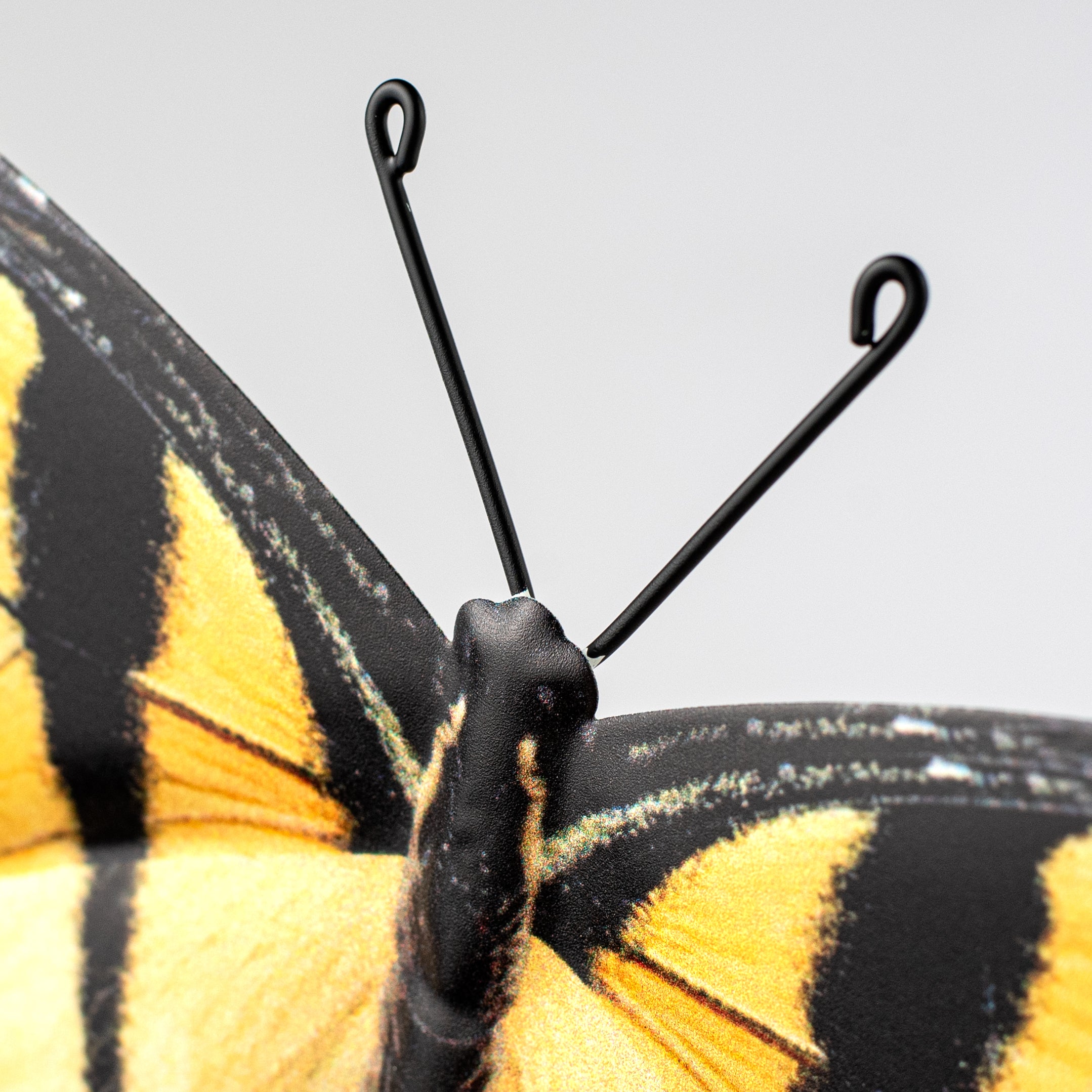 13" Metal Embossed Swallowtail Butterfly Sign: Yellow detail photo 3