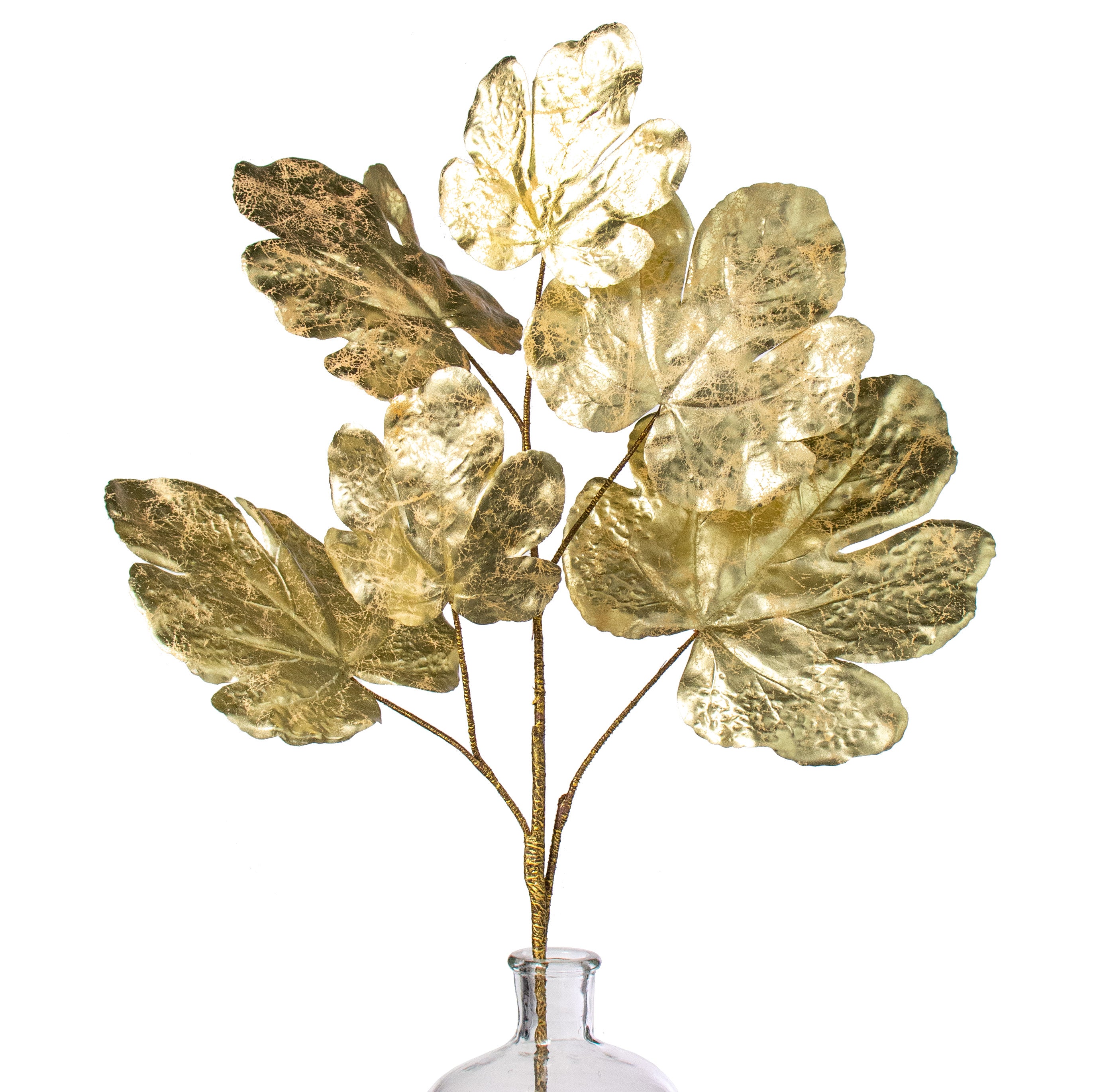 27" Metallic Fig Leaf Spray: Champagne Item Number: 282250